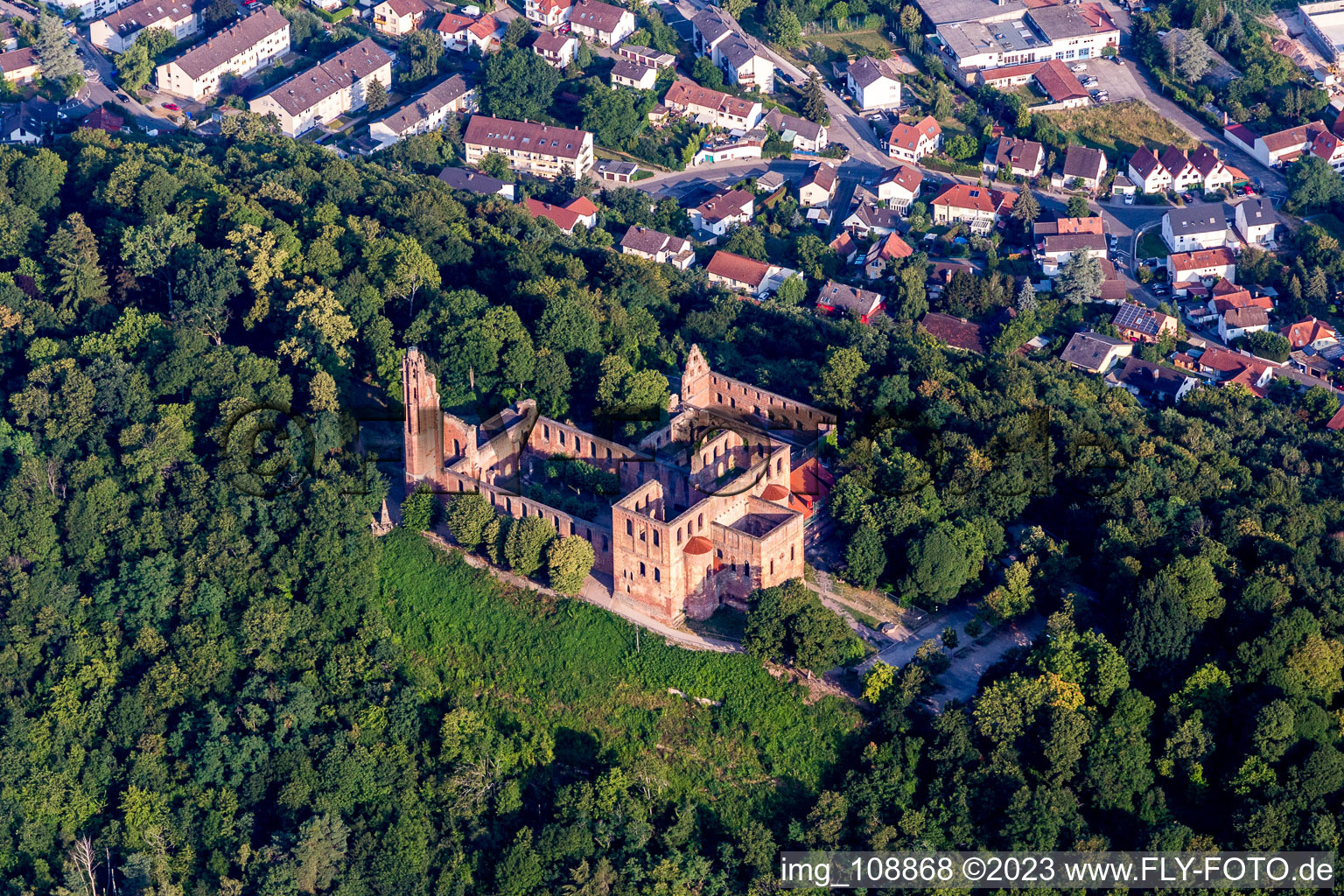 Monastère de Limbourg à le quartier Grethen in Bad Dürkheim dans le département Rhénanie-Palatinat, Allemagne hors des airs