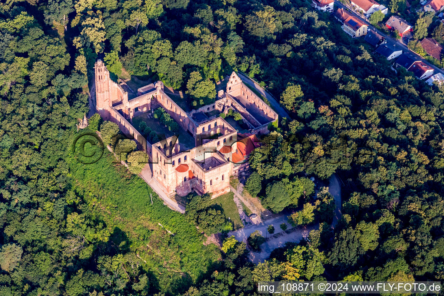 Vue aérienne de Ruines du monastère du Limbourg à le quartier Grethen in Bad Dürkheim dans le département Rhénanie-Palatinat, Allemagne