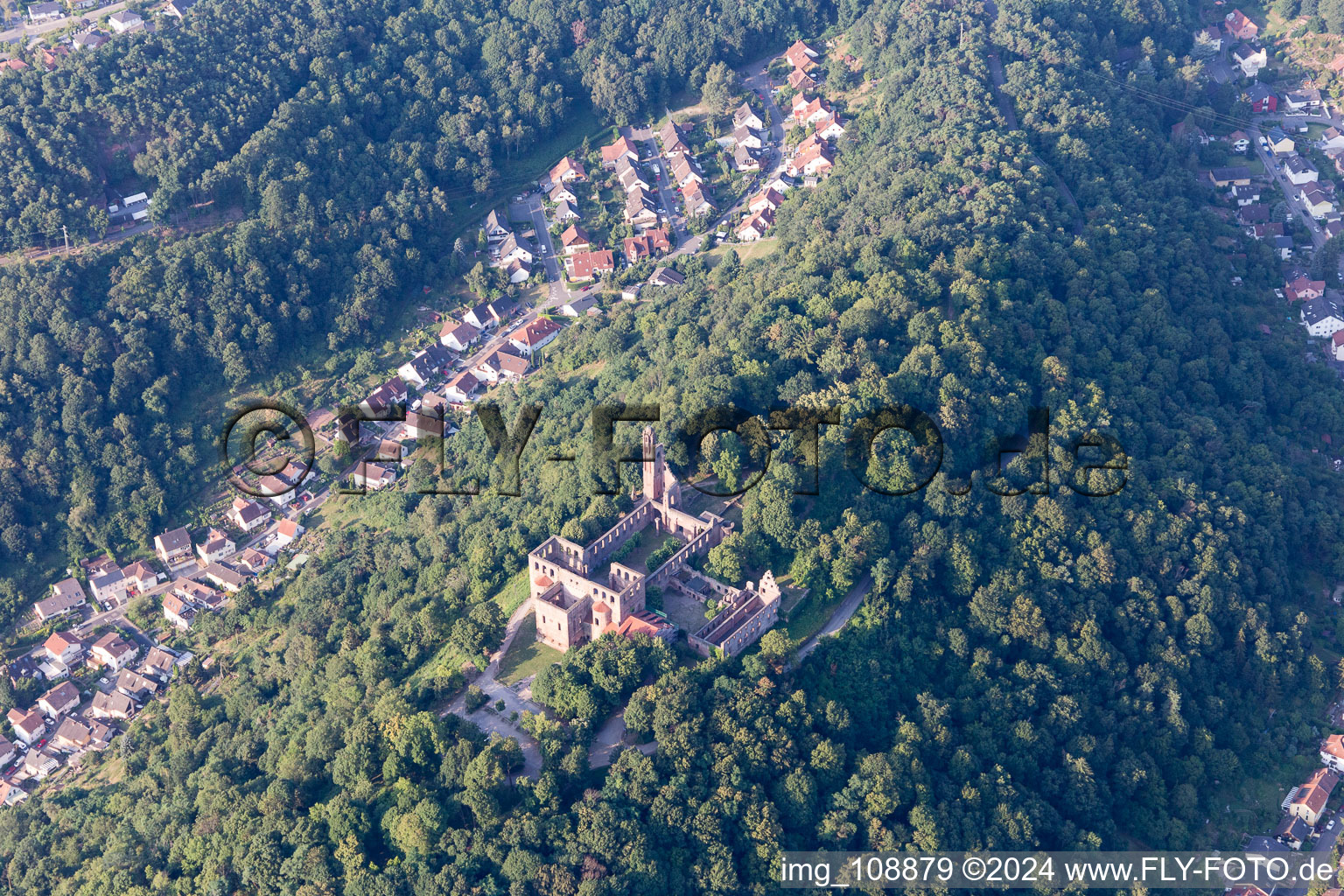 Vue aérienne de Ruines du monastère du Limbourg à le quartier Hausen in Bad Dürkheim dans le département Rhénanie-Palatinat, Allemagne