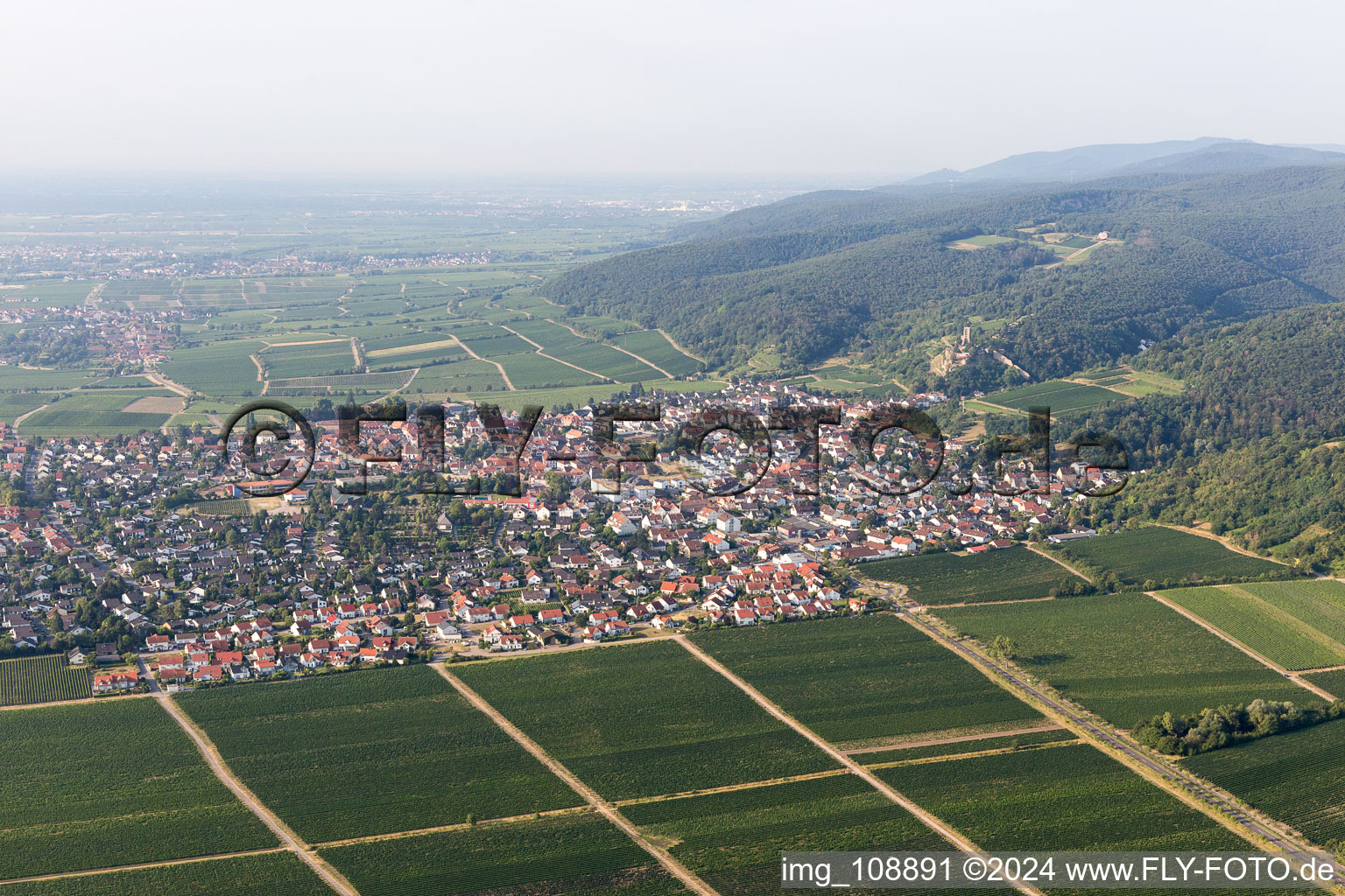 Vue aérienne de Wachenheim an der Weinstraße dans le département Rhénanie-Palatinat, Allemagne