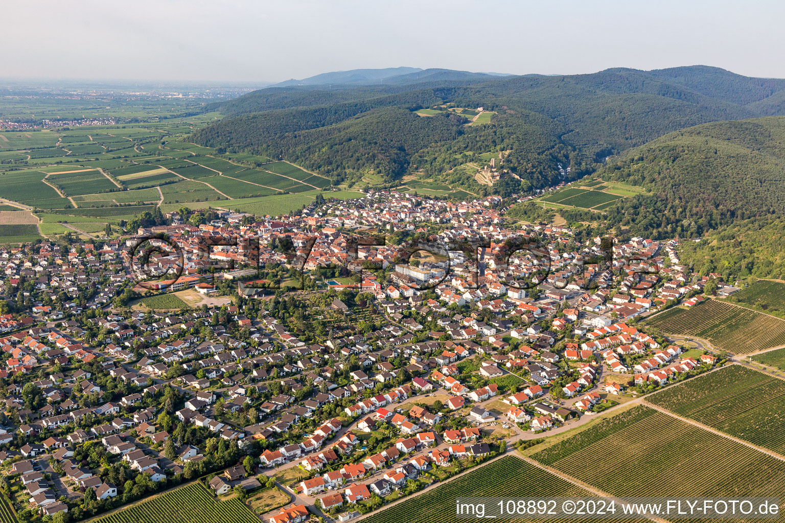 Vue aérienne de Centre-ville entouré de forêts et de zones forestières avec des rues et des maisons et des zones résidentielles à le quartier Wachenheim in Wachenheim an der Weinstraße dans le département Rhénanie-Palatinat, Allemagne