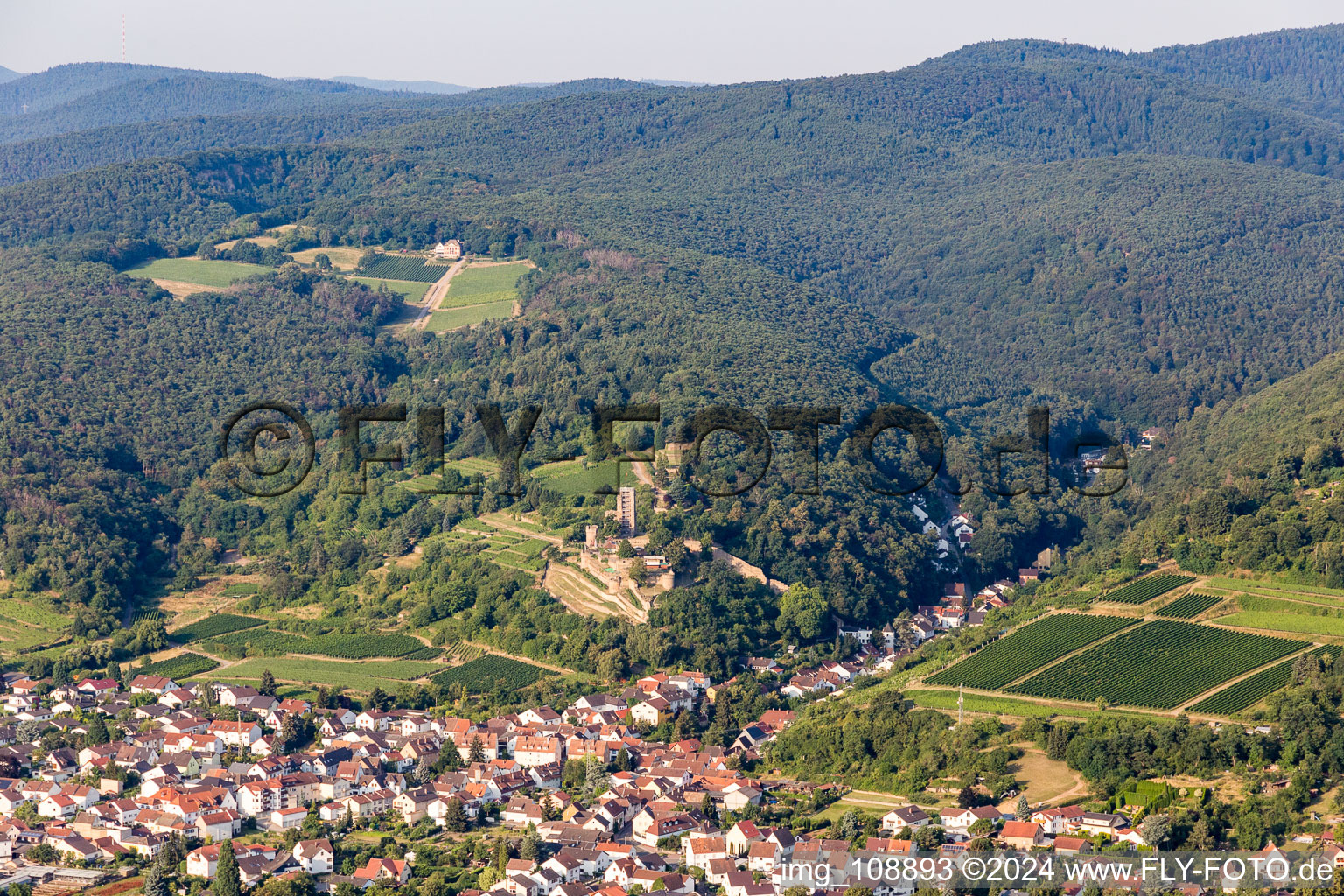 Vue oblique de Quartier Wachenheim in Wachenheim an der Weinstraße dans le département Rhénanie-Palatinat, Allemagne