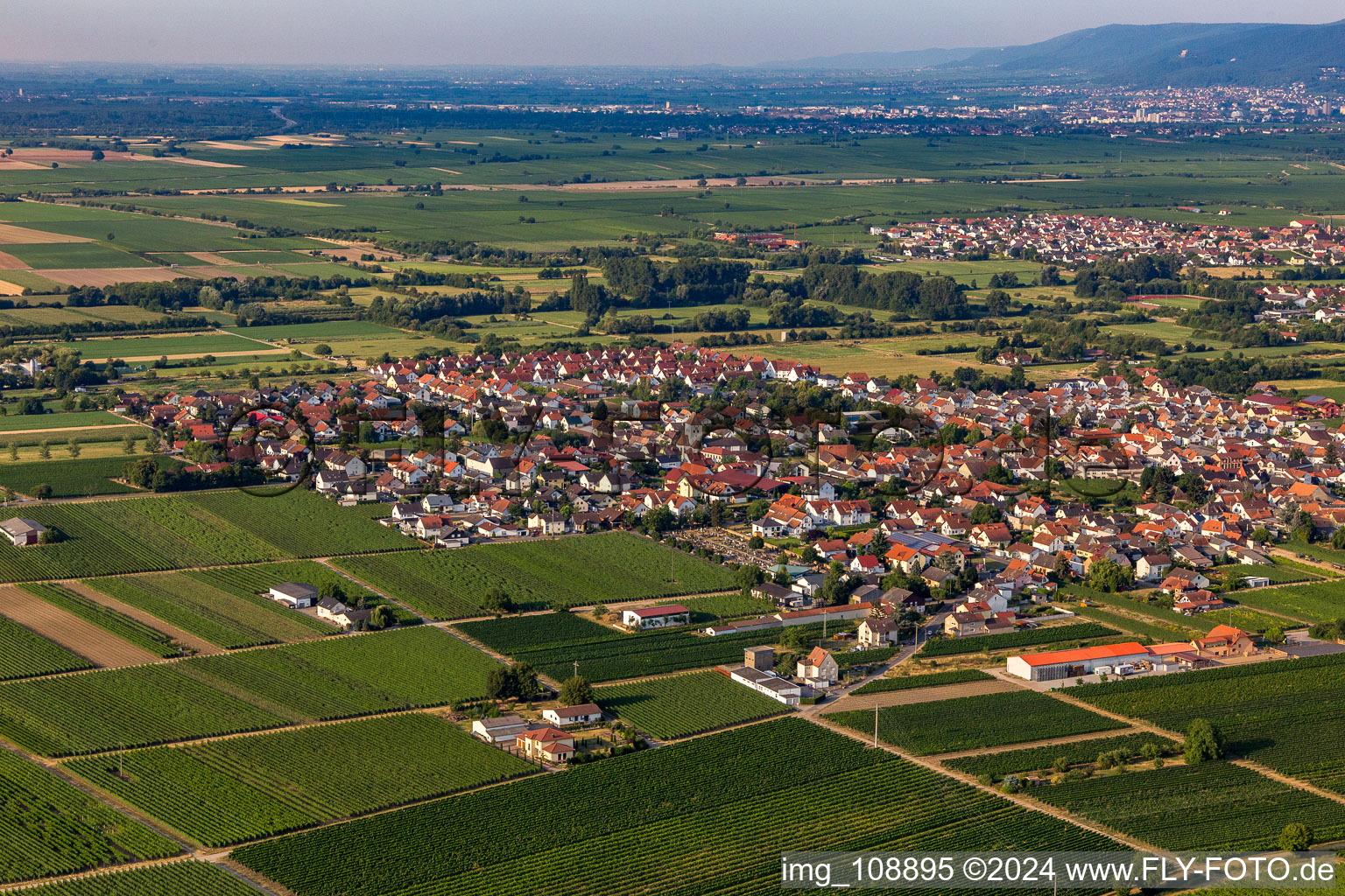 Vue aérienne de Du nord-est à le quartier Niederkirchen in Niederkirchen bei Deidesheim dans le département Rhénanie-Palatinat, Allemagne