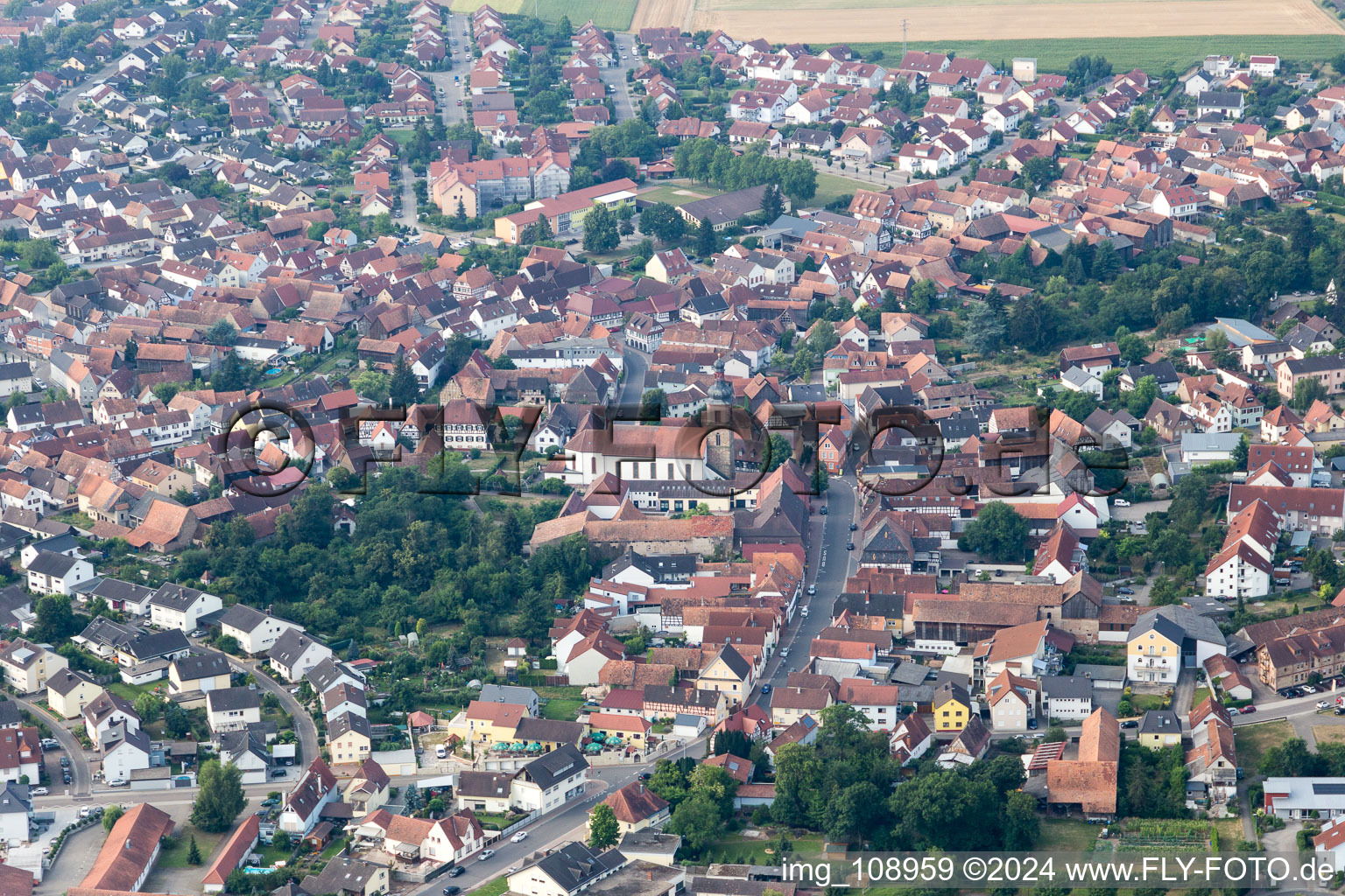 Vue aérienne de Rheinzabern dans le département Rhénanie-Palatinat, Allemagne