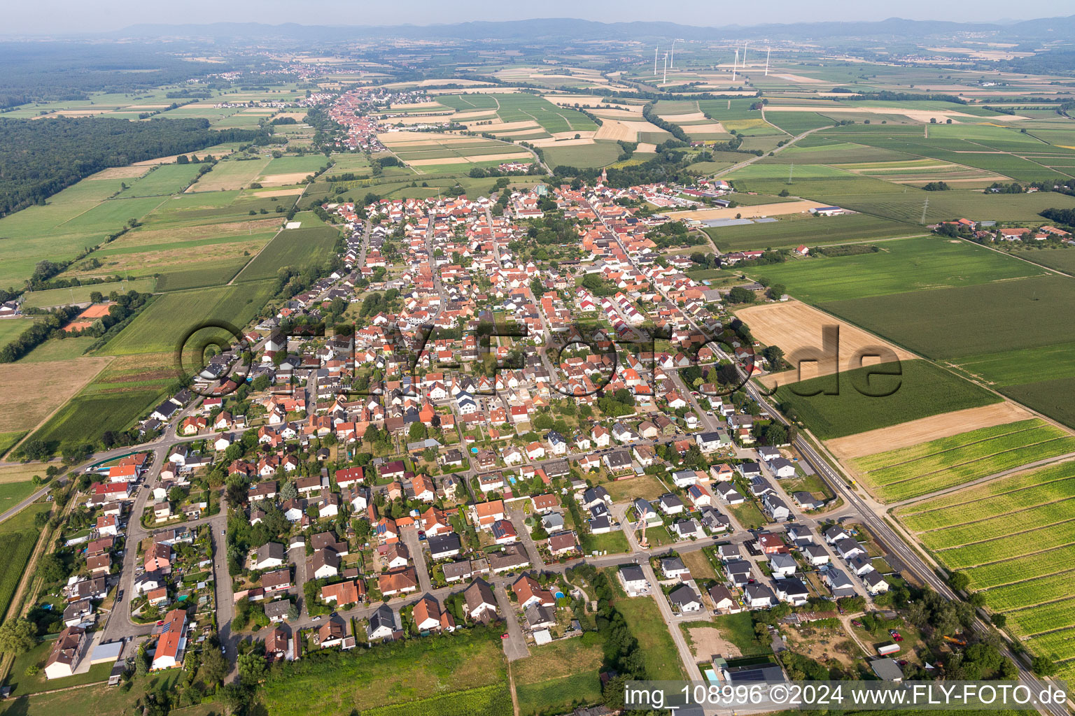 Vue d'oiseau de Minfeld dans le département Rhénanie-Palatinat, Allemagne