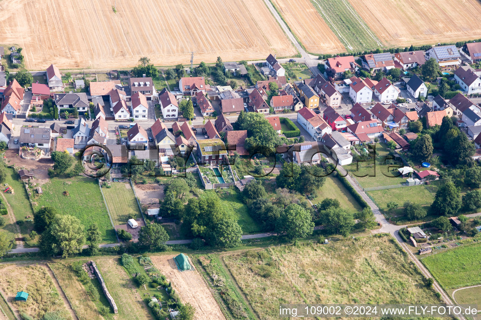 Freckenfeld dans le département Rhénanie-Palatinat, Allemagne vue d'en haut