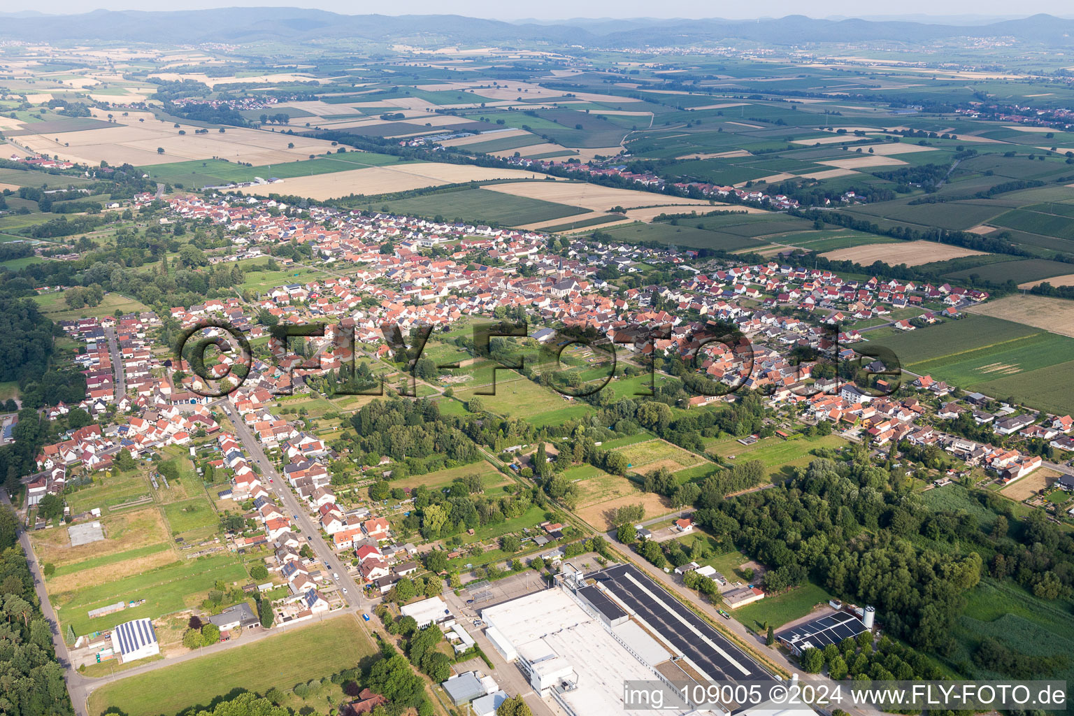 Quartier Schaidt in Wörth am Rhein dans le département Rhénanie-Palatinat, Allemagne vue du ciel