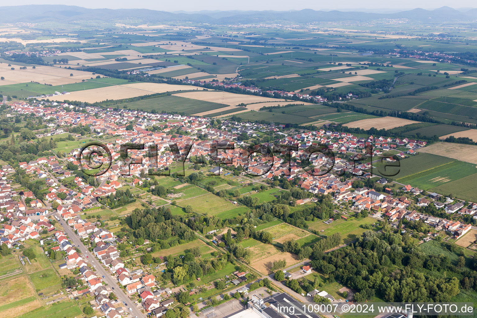 Image drone de Quartier Schaidt in Wörth am Rhein dans le département Rhénanie-Palatinat, Allemagne