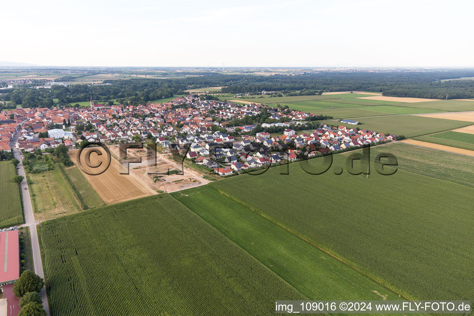 Steinweiler dans le département Rhénanie-Palatinat, Allemagne d'en haut