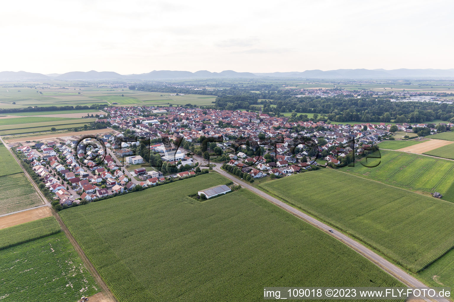 Steinweiler dans le département Rhénanie-Palatinat, Allemagne vue d'en haut