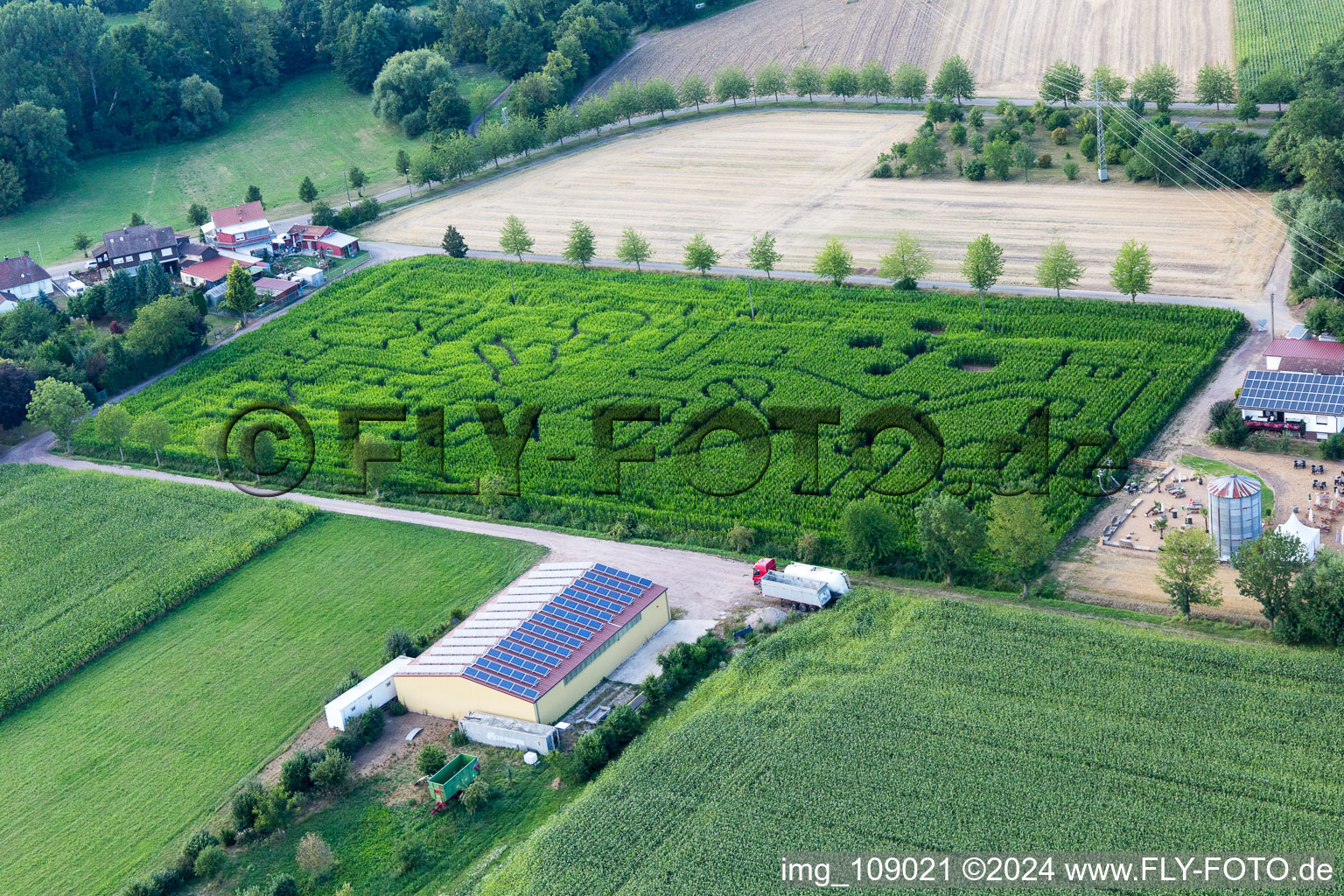 Photographie aérienne de Labyrinthe de maïs au Seehof à Steinweiler dans le département Rhénanie-Palatinat, Allemagne