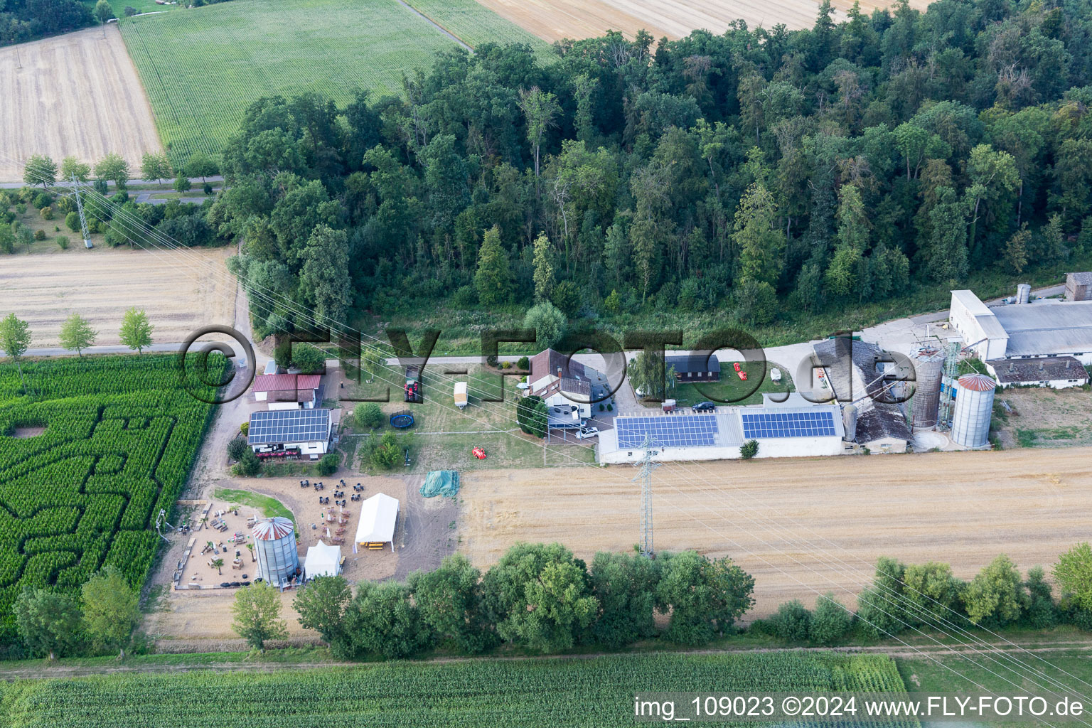 Vue oblique de Labyrinthe de maïs au Seehof à Steinweiler dans le département Rhénanie-Palatinat, Allemagne