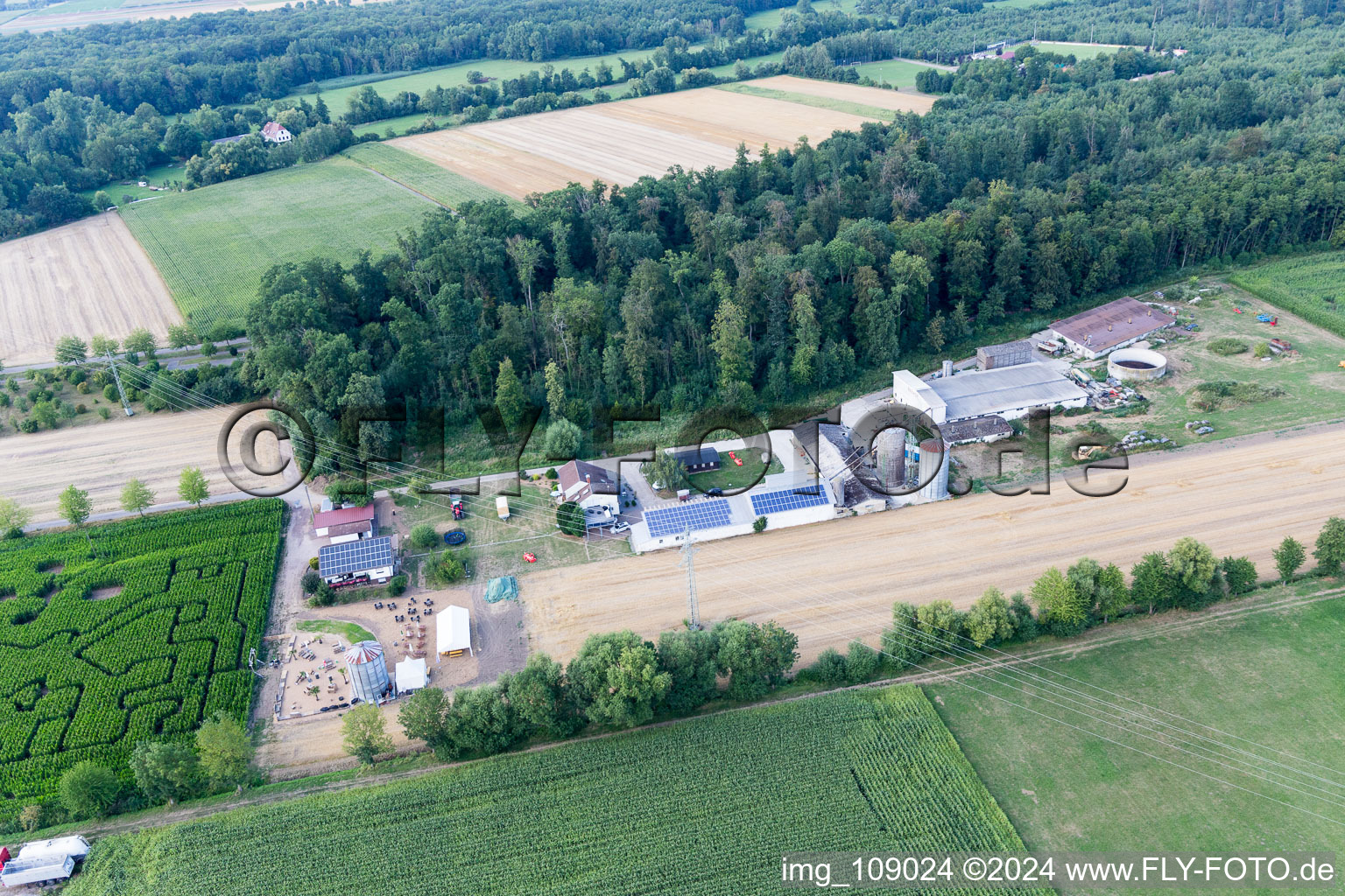 Labyrinthe de maïs au Seehof à Steinweiler dans le département Rhénanie-Palatinat, Allemagne d'en haut