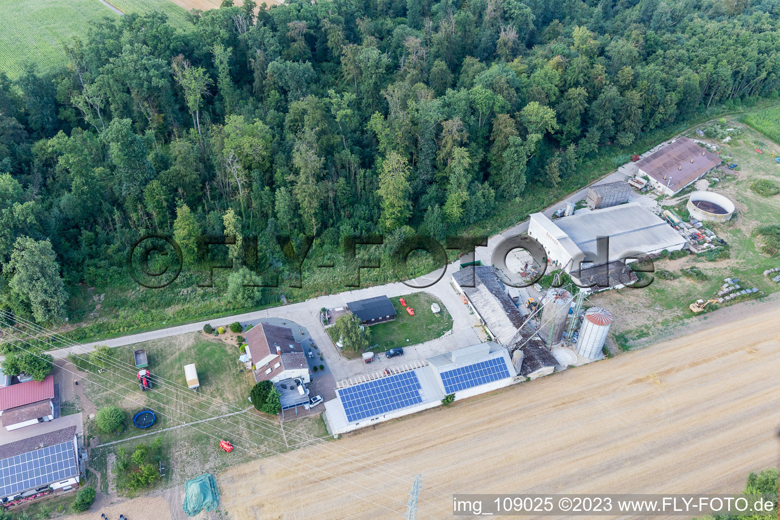 Labyrinthe de maïs au Seehof à Steinweiler dans le département Rhénanie-Palatinat, Allemagne hors des airs