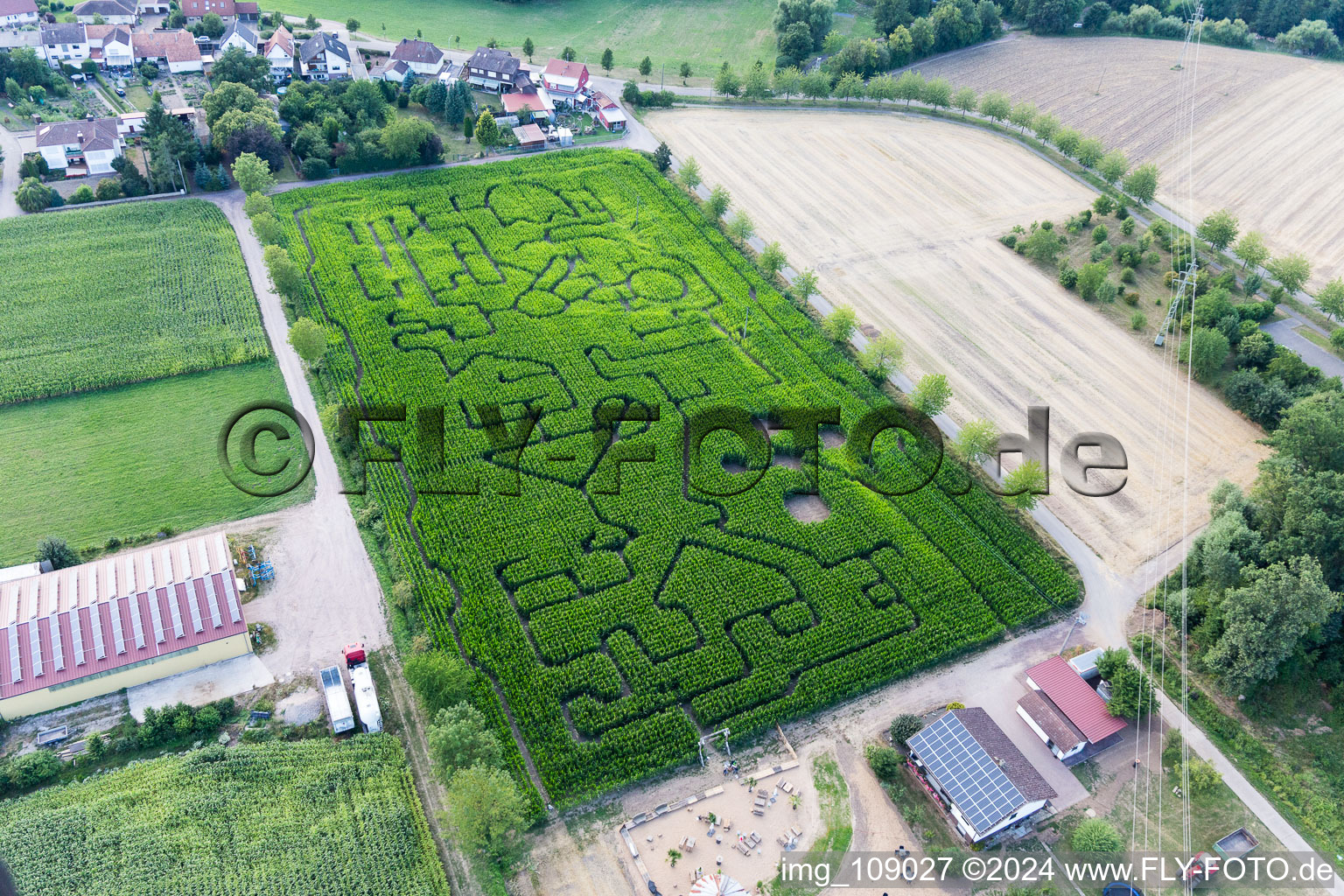 Vue aérienne de Labyrinthe - labyrinthe dans un champ de maïs du Seehof à Steinweiler dans le département Rhénanie-Palatinat, Allemagne