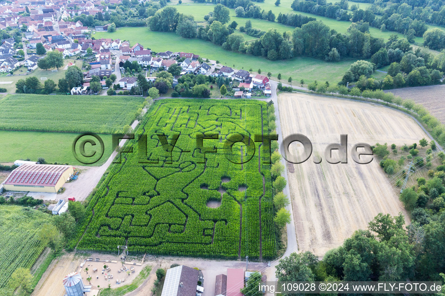 Labyrinthe de maïs au Seehof à Steinweiler dans le département Rhénanie-Palatinat, Allemagne depuis l'avion