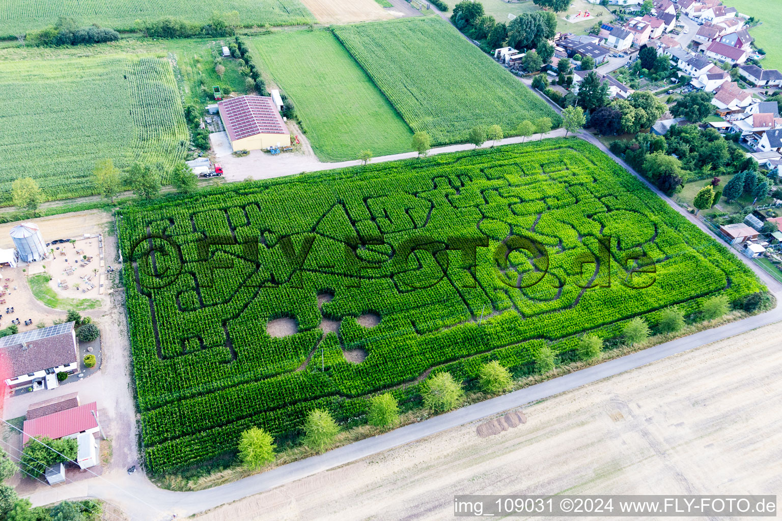 Photographie aérienne de Labyrinthe - labyrinthe dans un champ de maïs du Seehof à Steinweiler dans le département Rhénanie-Palatinat, Allemagne