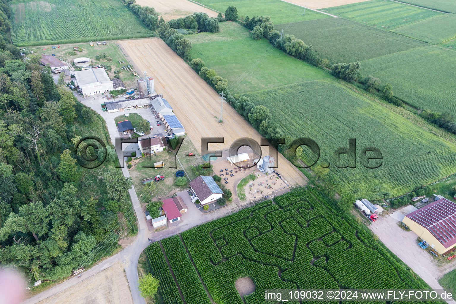 Vue d'oiseau de Labyrinthe de maïs au Seehof à Steinweiler dans le département Rhénanie-Palatinat, Allemagne