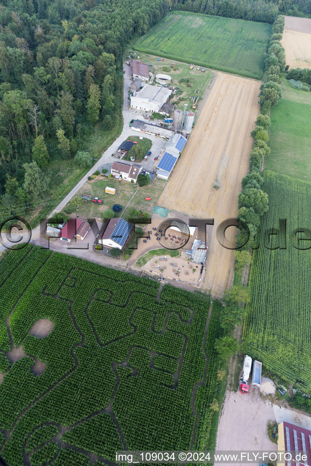 Labyrinthe de maïs au Seehof à Steinweiler dans le département Rhénanie-Palatinat, Allemagne vue du ciel