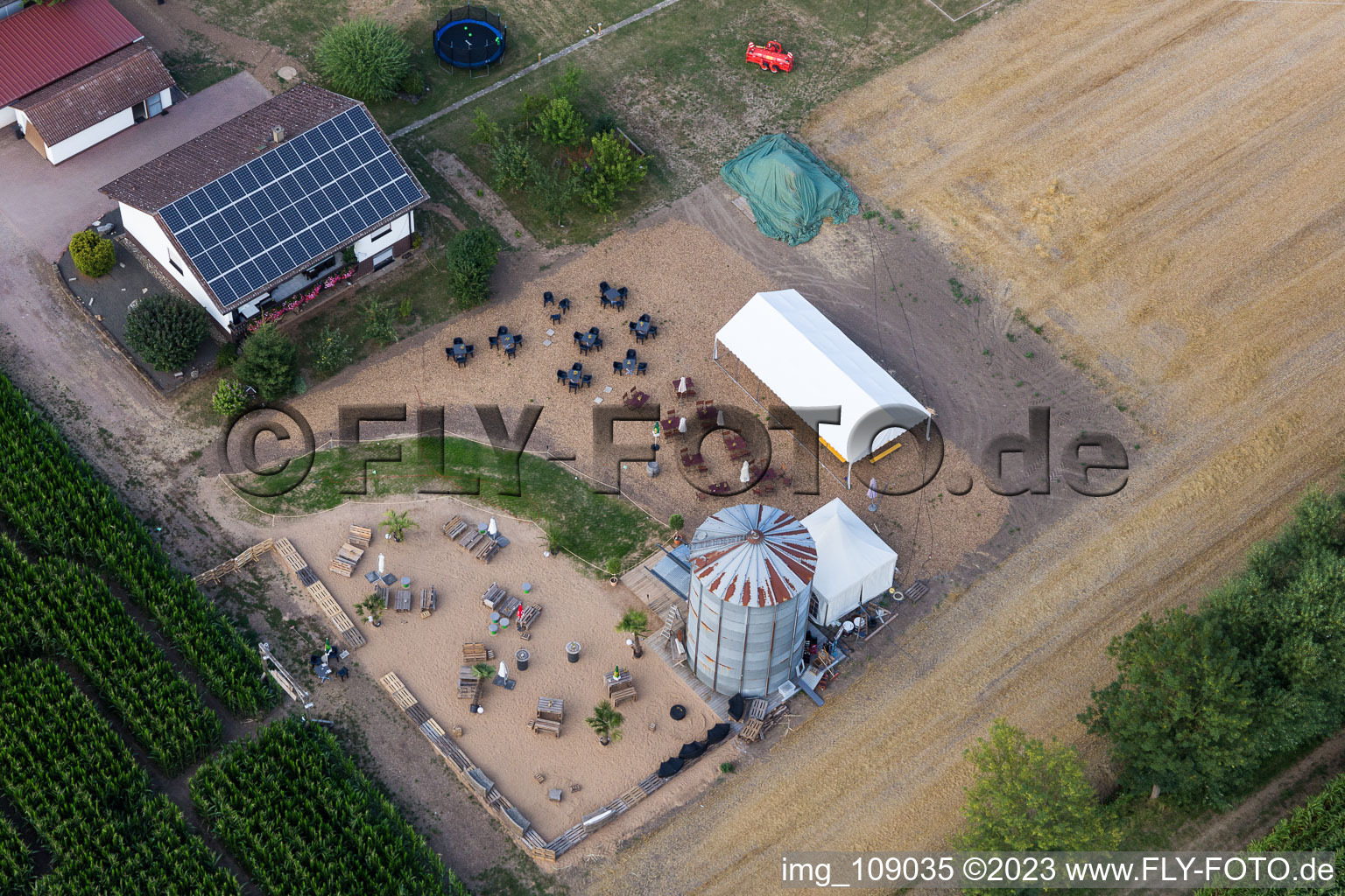 Enregistrement par drone de Labyrinthe de maïs au Seehof à Steinweiler dans le département Rhénanie-Palatinat, Allemagne