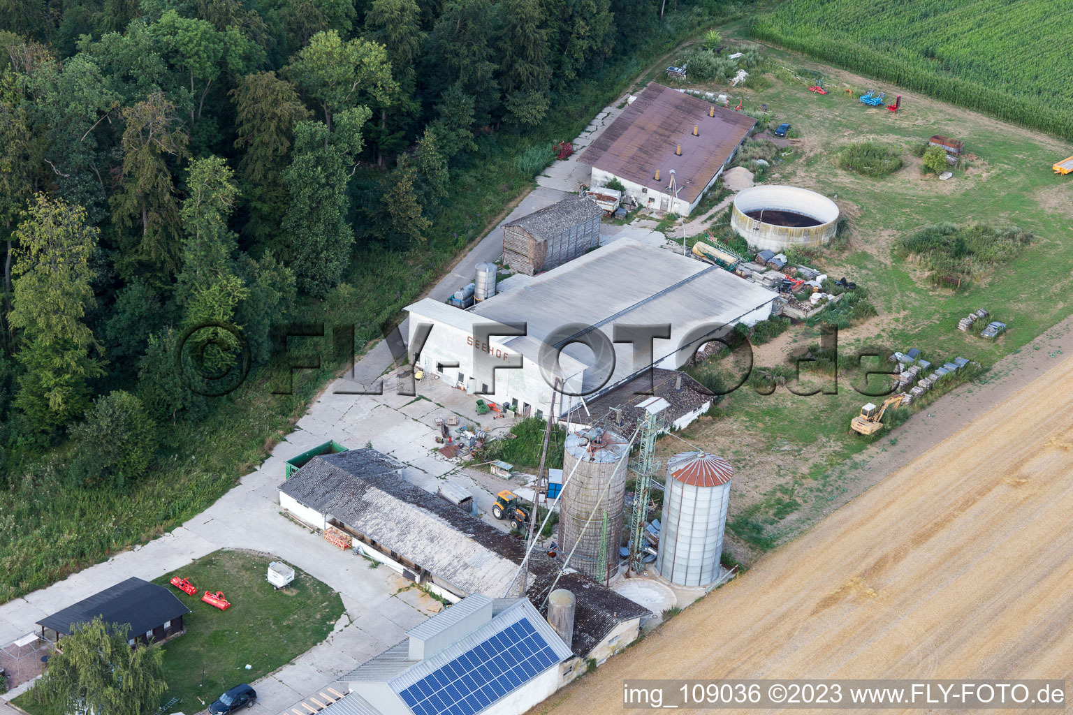 Image drone de Labyrinthe de maïs au Seehof à Steinweiler dans le département Rhénanie-Palatinat, Allemagne
