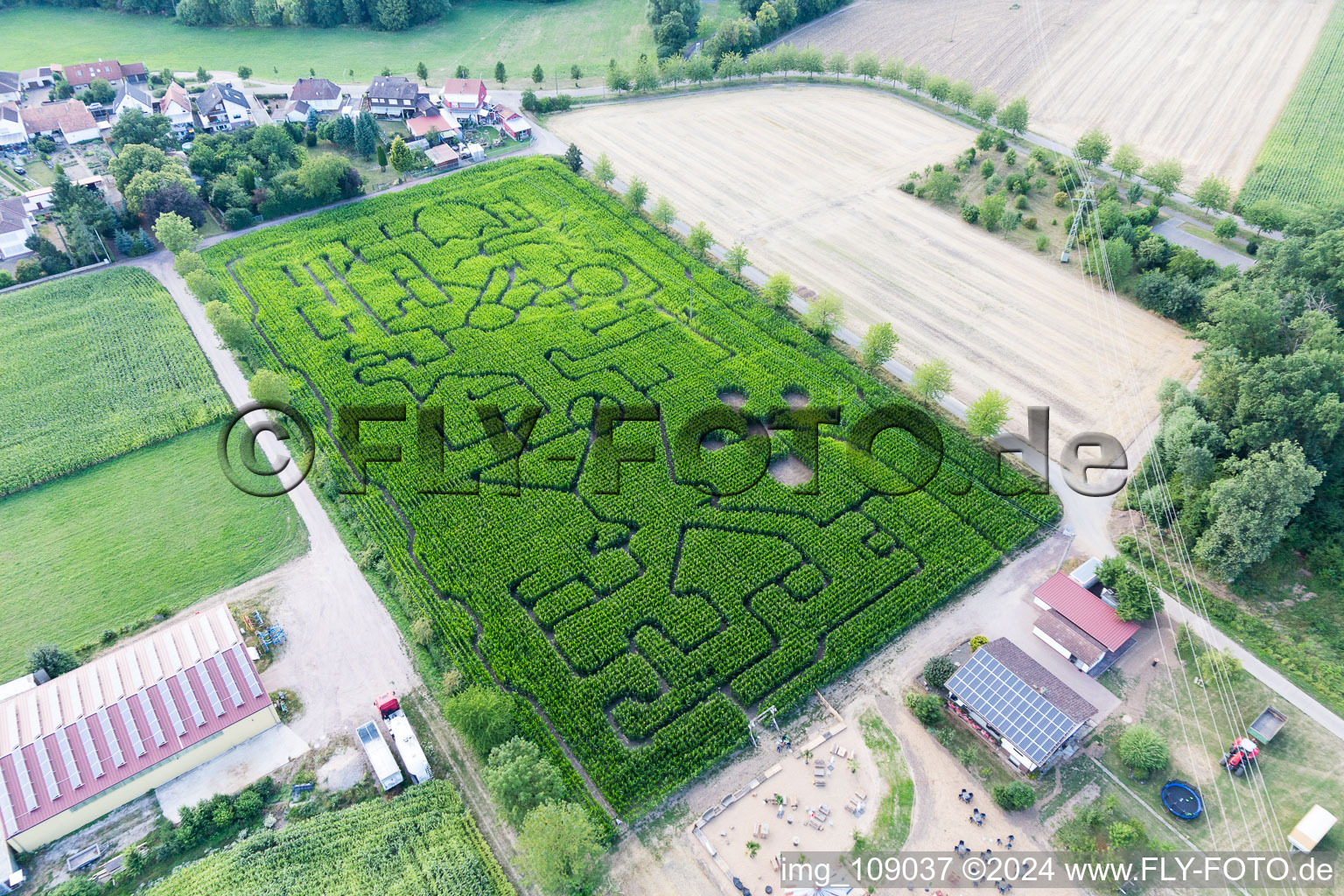 Vue oblique de Labyrinthe - labyrinthe dans un champ de maïs du Seehof à Steinweiler dans le département Rhénanie-Palatinat, Allemagne