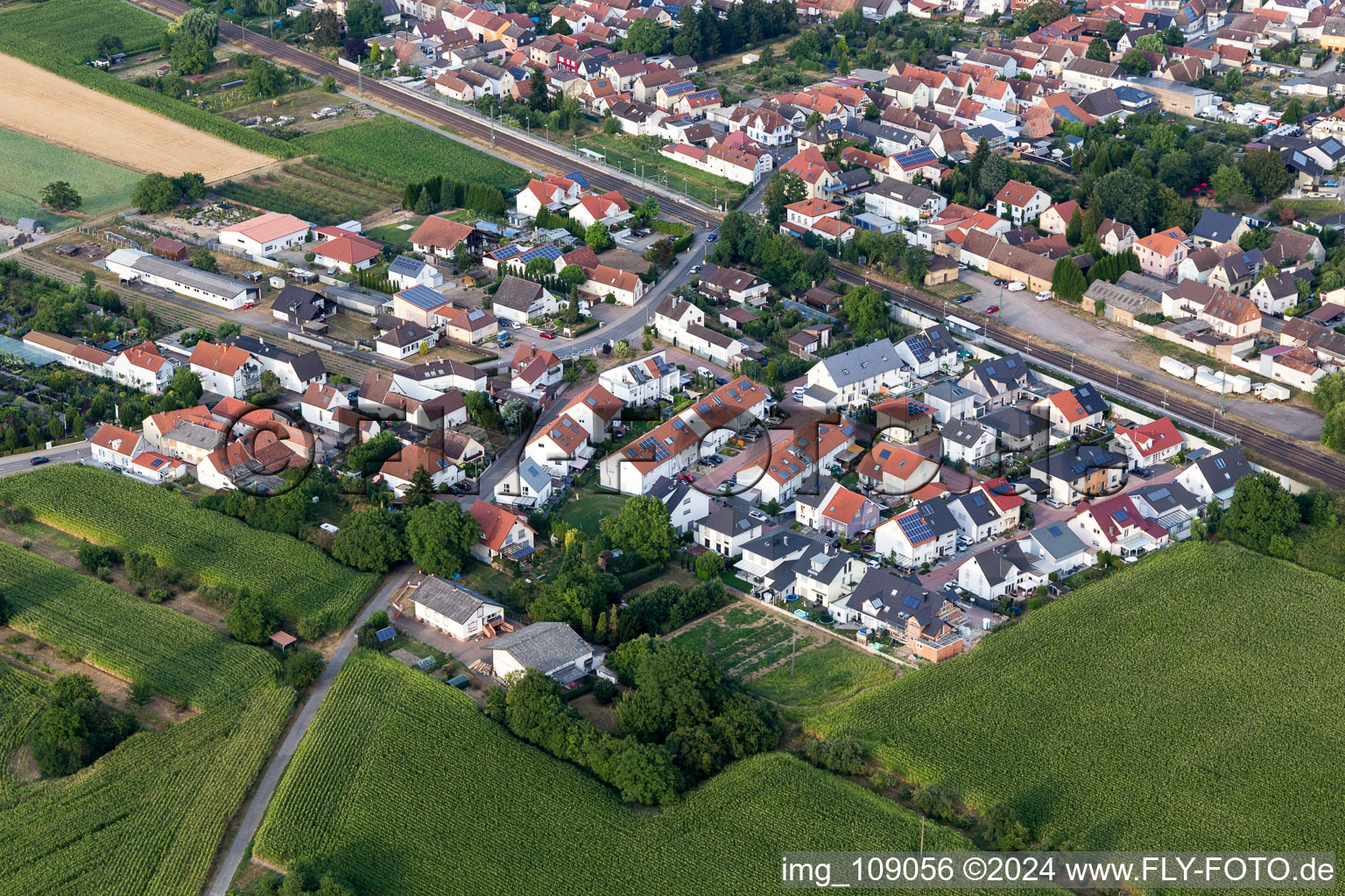 Quartier Berghausen in Römerberg dans le département Rhénanie-Palatinat, Allemagne vue du ciel