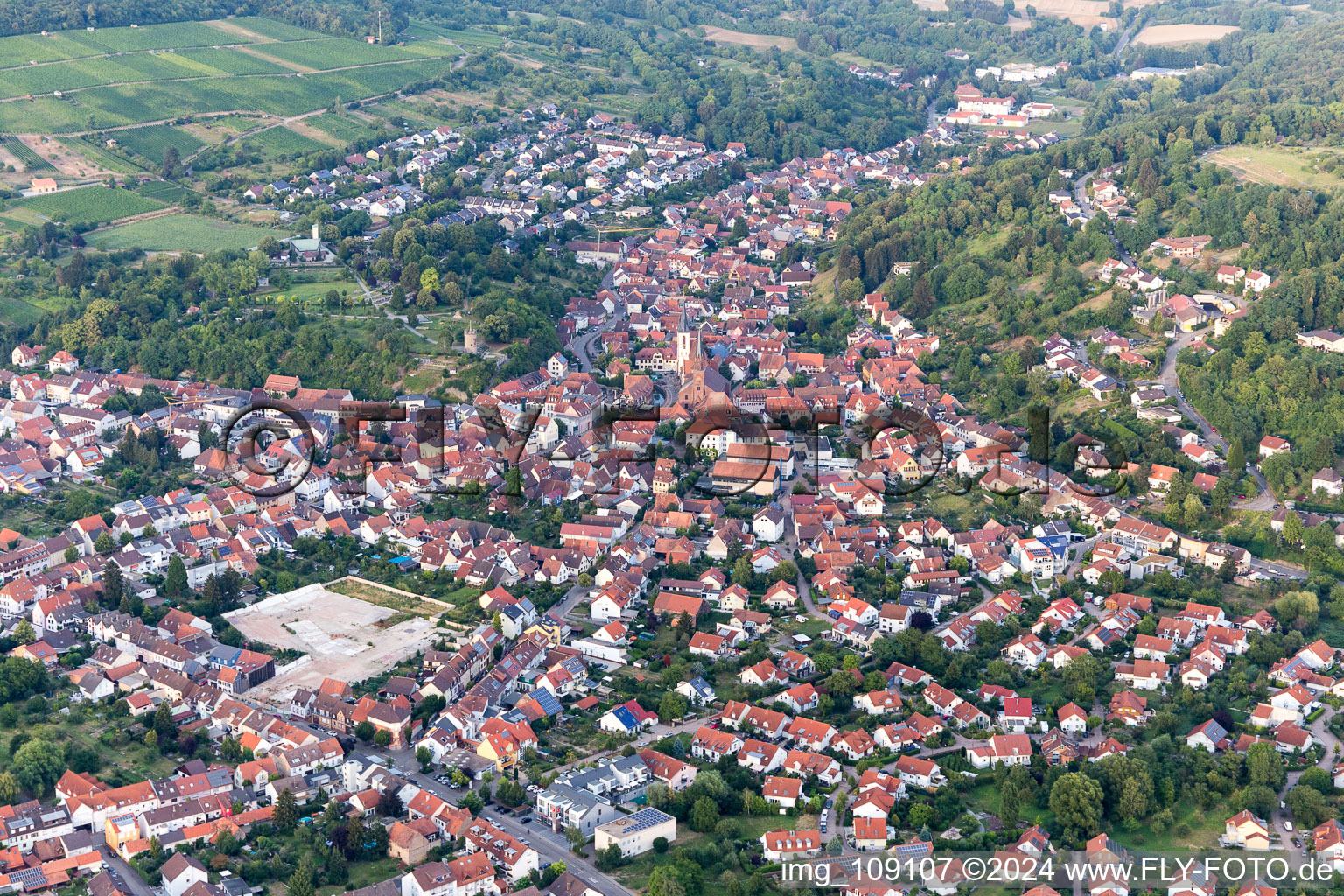 Vue oblique de Weingarten dans le département Bade-Wurtemberg, Allemagne