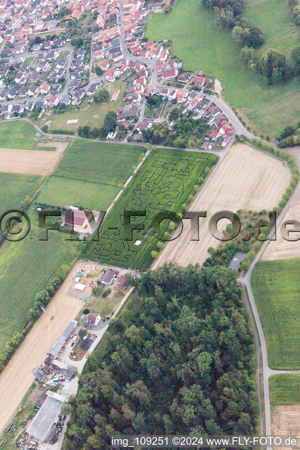 Steinweiler dans le département Rhénanie-Palatinat, Allemagne depuis l'avion