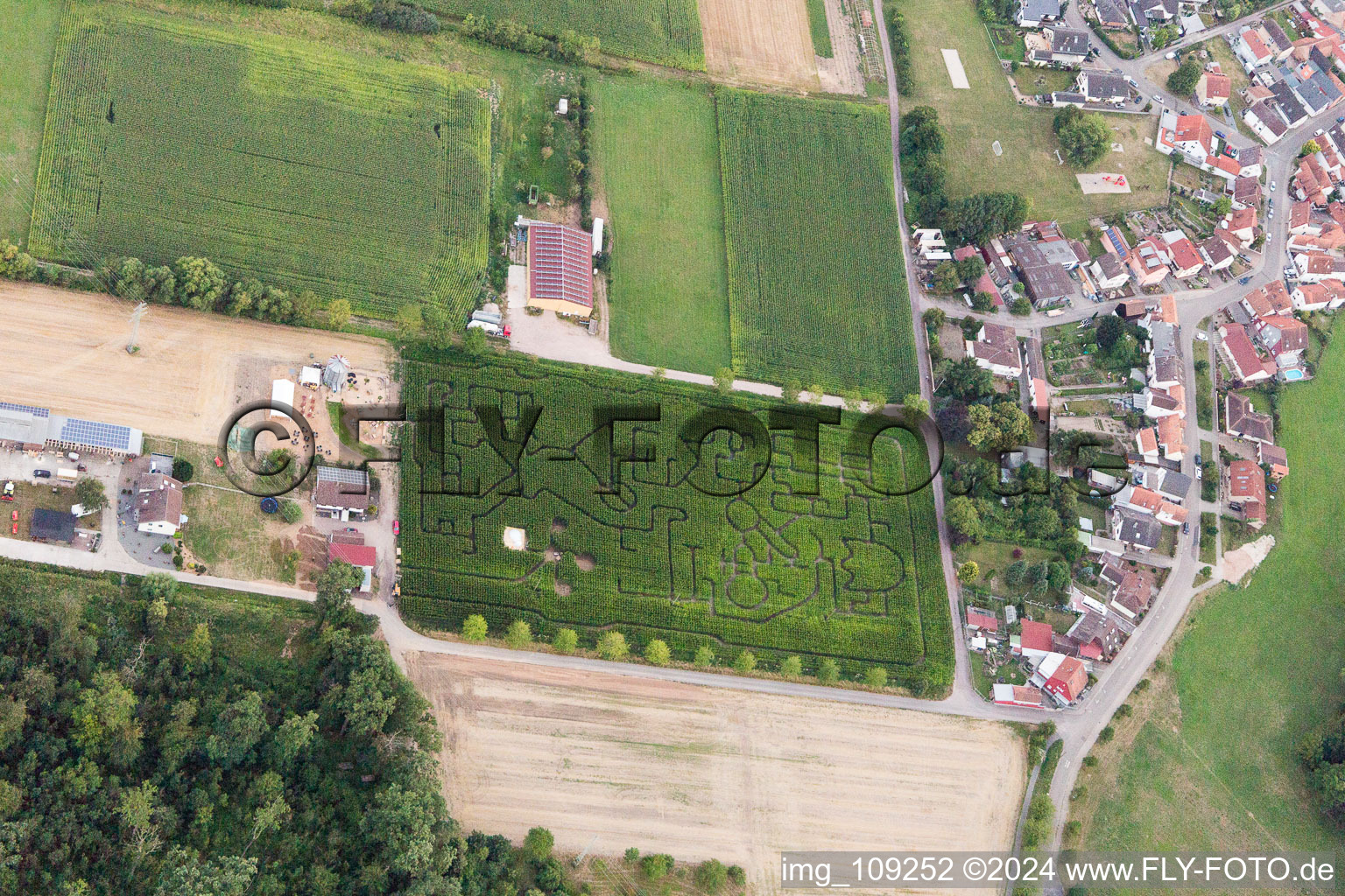 Vue d'oiseau de Steinweiler dans le département Rhénanie-Palatinat, Allemagne