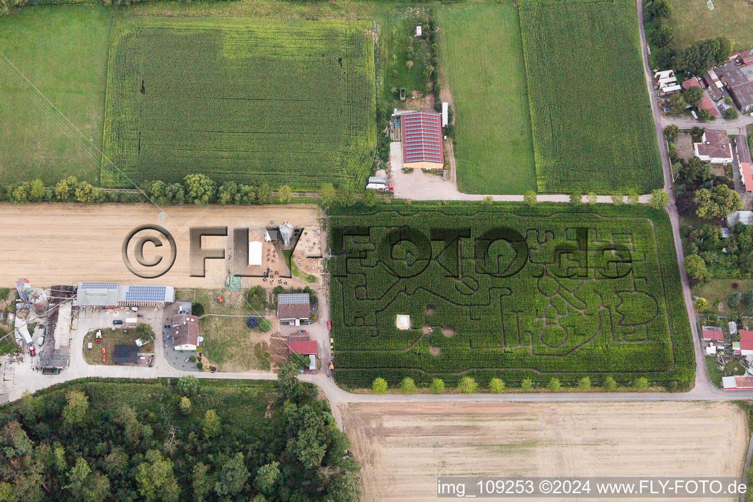 Steinweiler dans le département Rhénanie-Palatinat, Allemagne vue du ciel