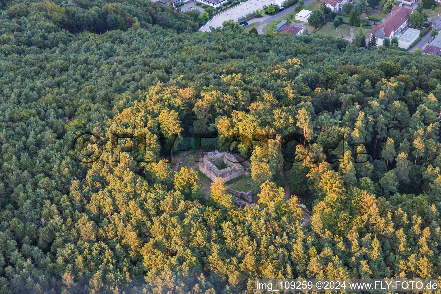 Vue aérienne de Ruines et vestiges des murs de l'ancien complexe du château Burg Schlössel à Klingenmünster dans le département Rhénanie-Palatinat, Allemagne