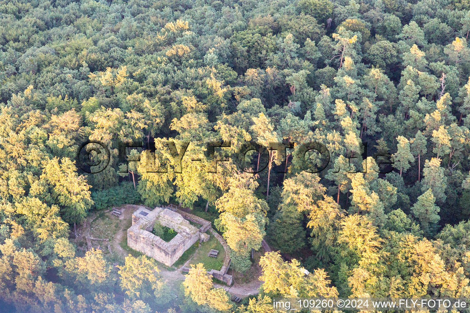 Vue aérienne de Château de Schlössel à Klingenmünster dans le département Rhénanie-Palatinat, Allemagne