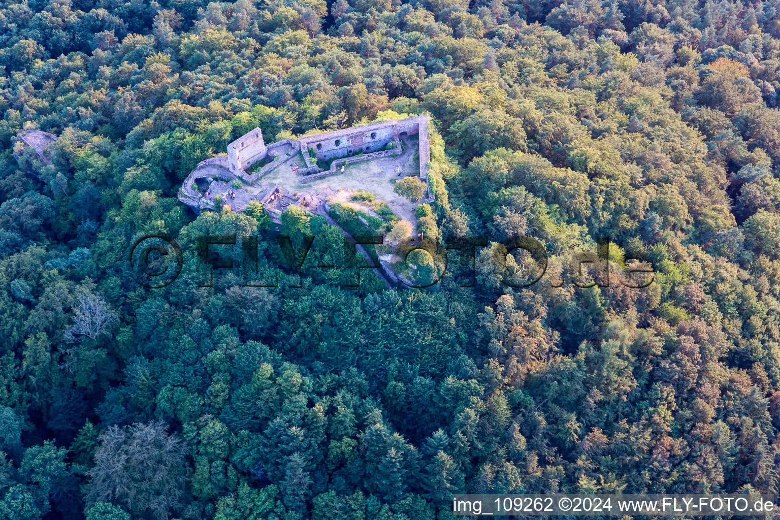 Vue aérienne de Ruines de Lindelbrunn à Vorderweidenthal dans le département Rhénanie-Palatinat, Allemagne