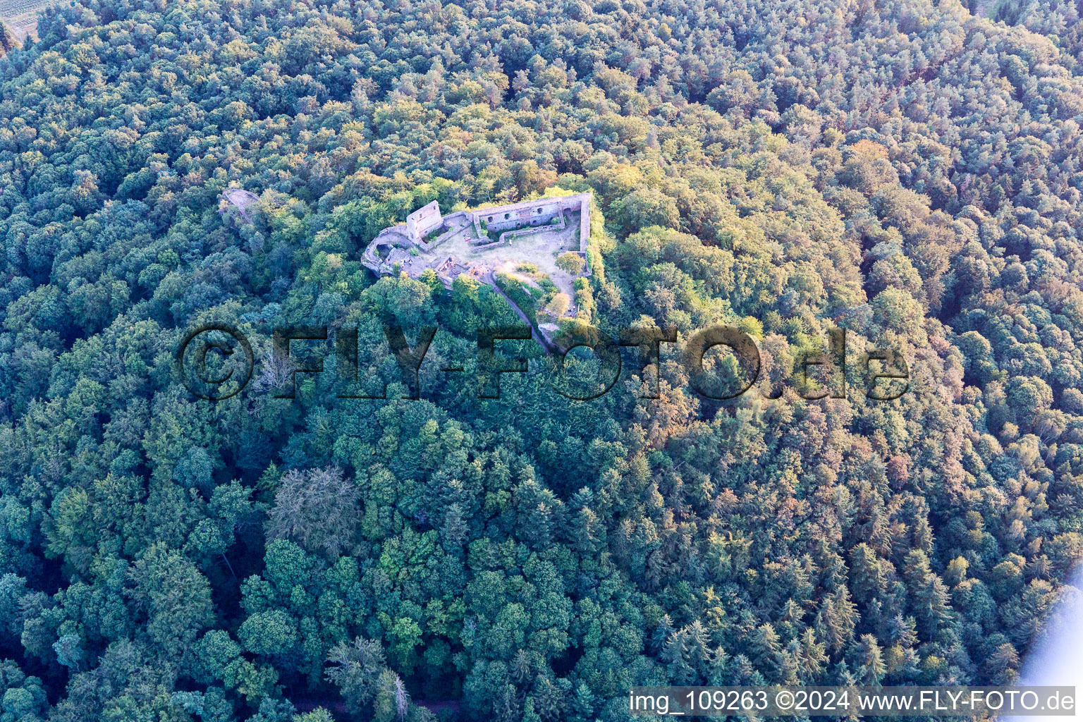 Photographie aérienne de Ruines de Lindelbrunn à Vorderweidenthal dans le département Rhénanie-Palatinat, Allemagne