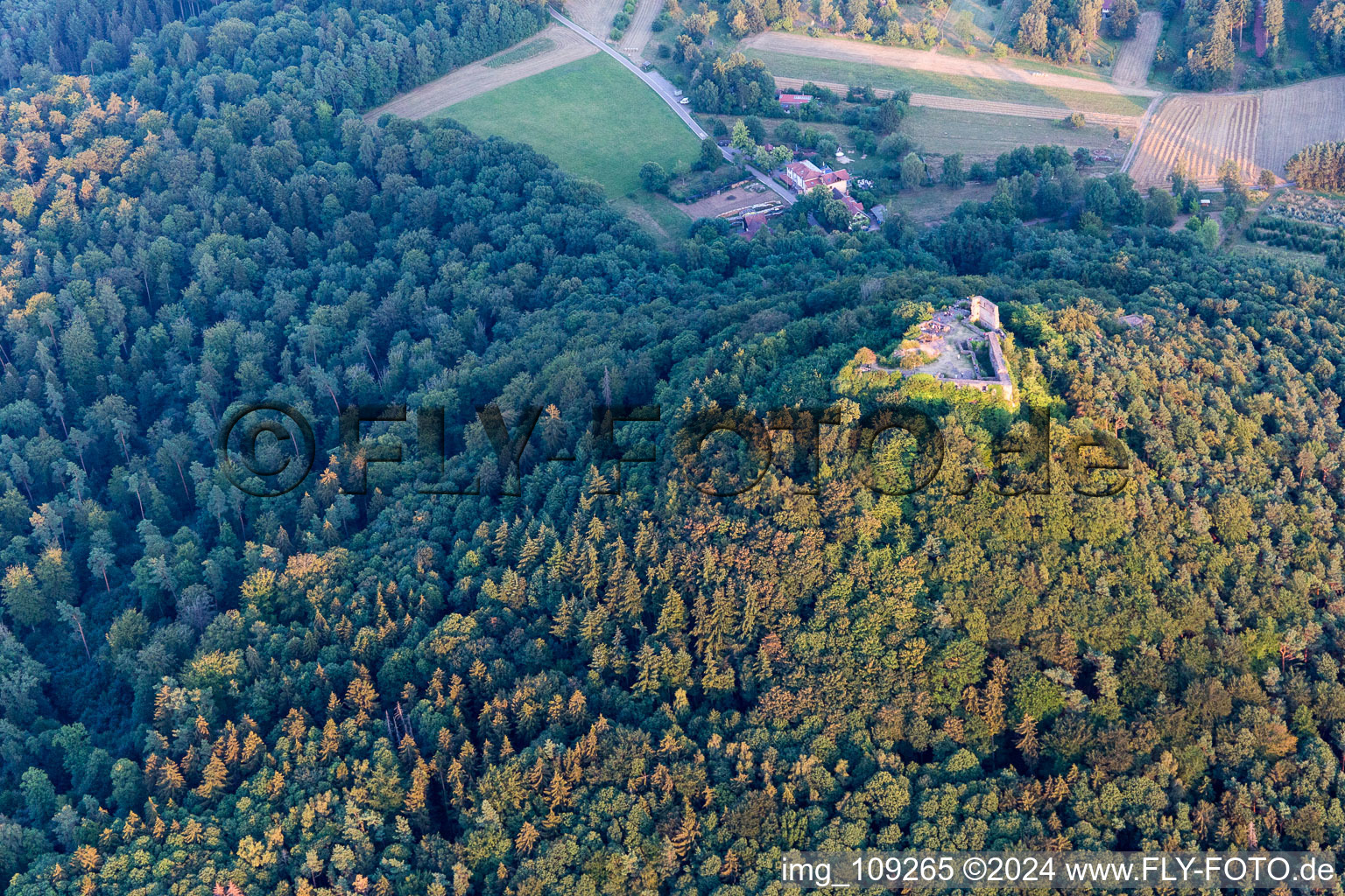 Vue oblique de Ruines de Lindelbrunn à Vorderweidenthal dans le département Rhénanie-Palatinat, Allemagne