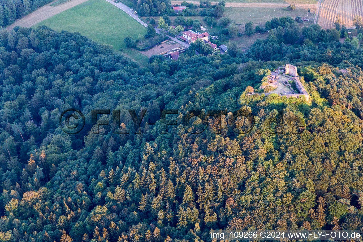 Ruines de Lindelbrunn à Vorderweidenthal dans le département Rhénanie-Palatinat, Allemagne d'en haut