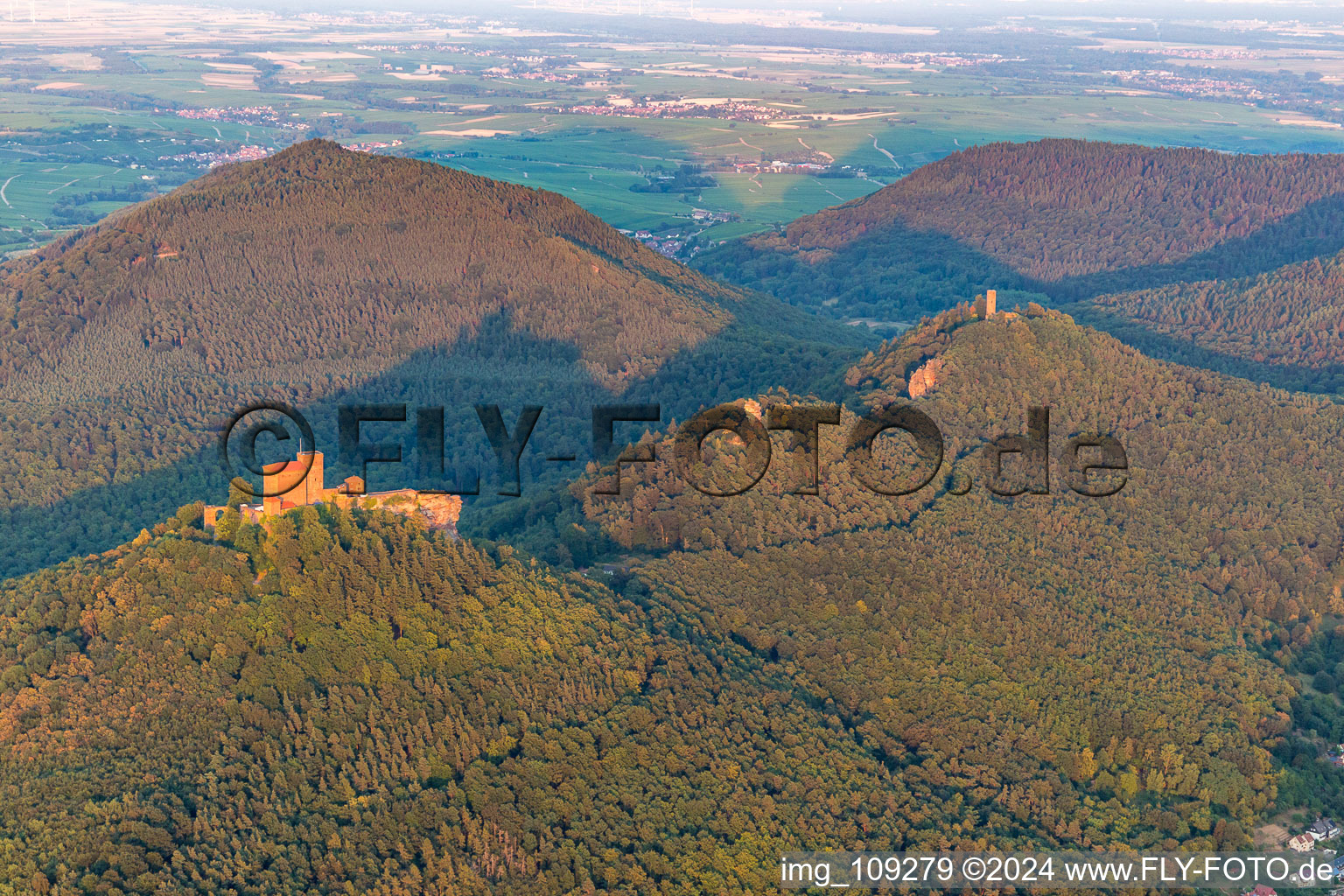 Vue aérienne de Les 3 châteaux Trifels, Anebos et Münz à le quartier Bindersbach in Annweiler am Trifels dans le département Rhénanie-Palatinat, Allemagne