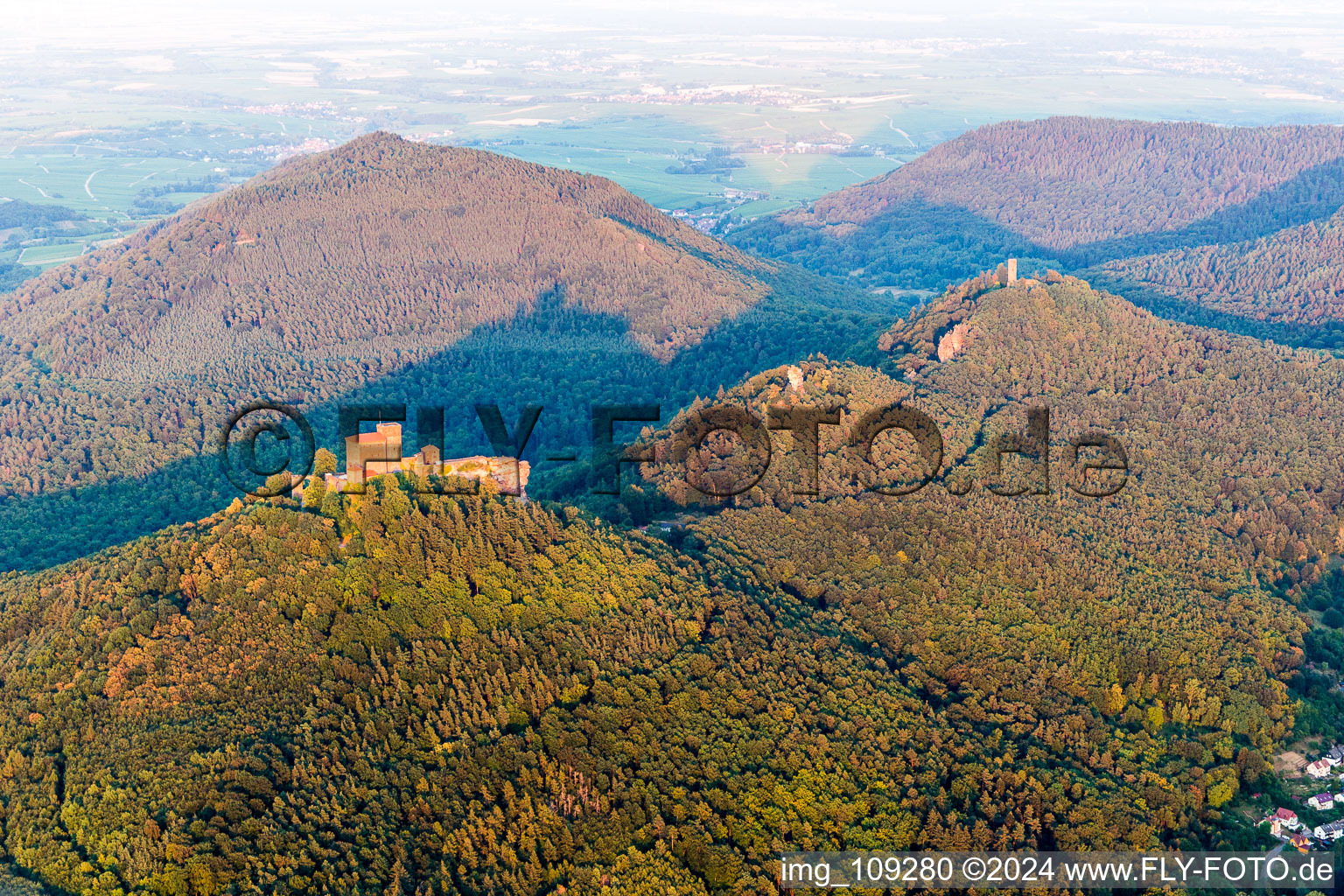 Vue aérienne de Les 3 châteaux Trifels, Anebos et Münz à le quartier Bindersbach in Annweiler am Trifels dans le département Rhénanie-Palatinat, Allemagne