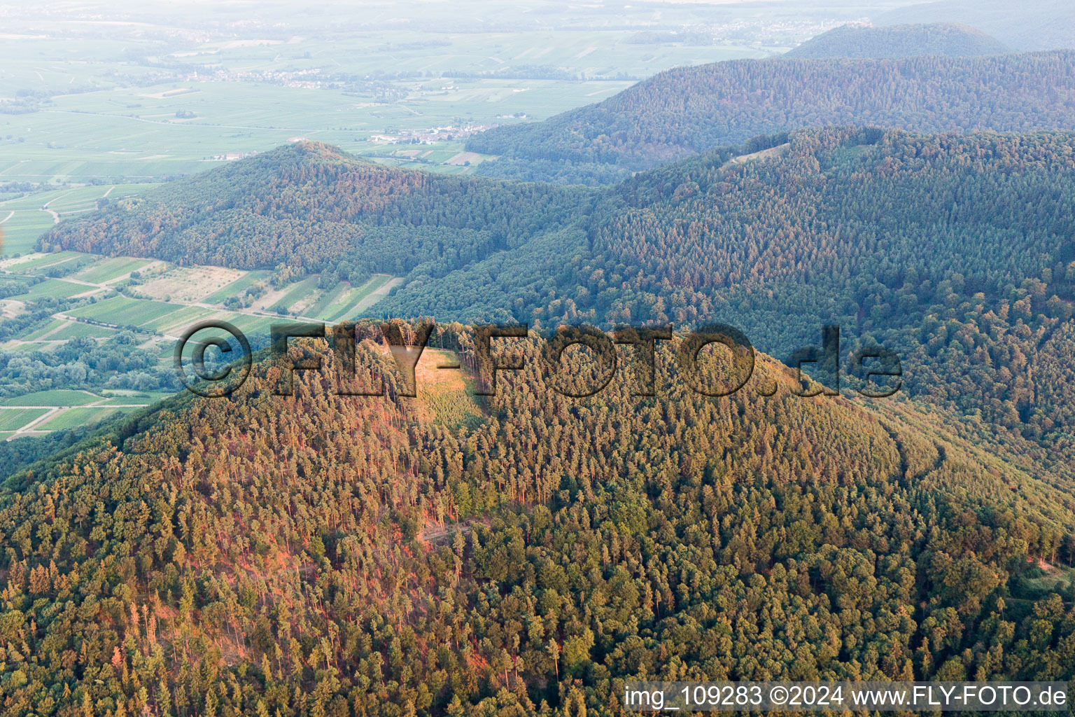 Vue aérienne de N point de départ à Hohenberg à Birkweiler dans le département Rhénanie-Palatinat, Allemagne