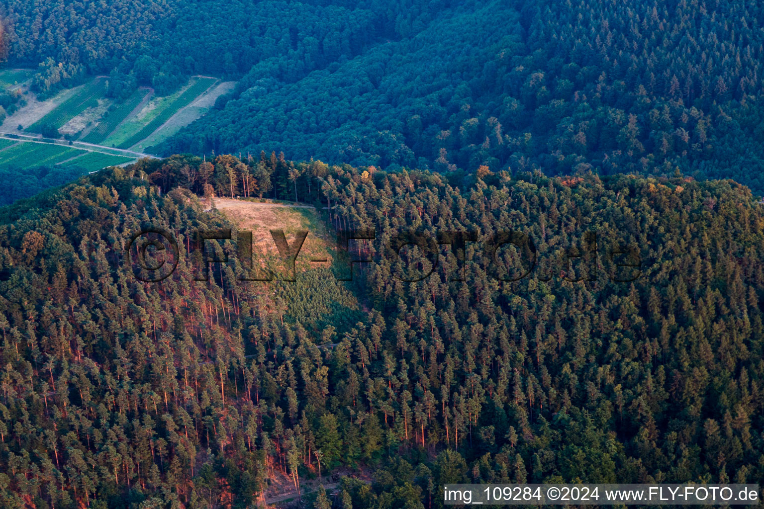 Vue aérienne de N point de départ à Hohenberg à Birkweiler dans le département Rhénanie-Palatinat, Allemagne