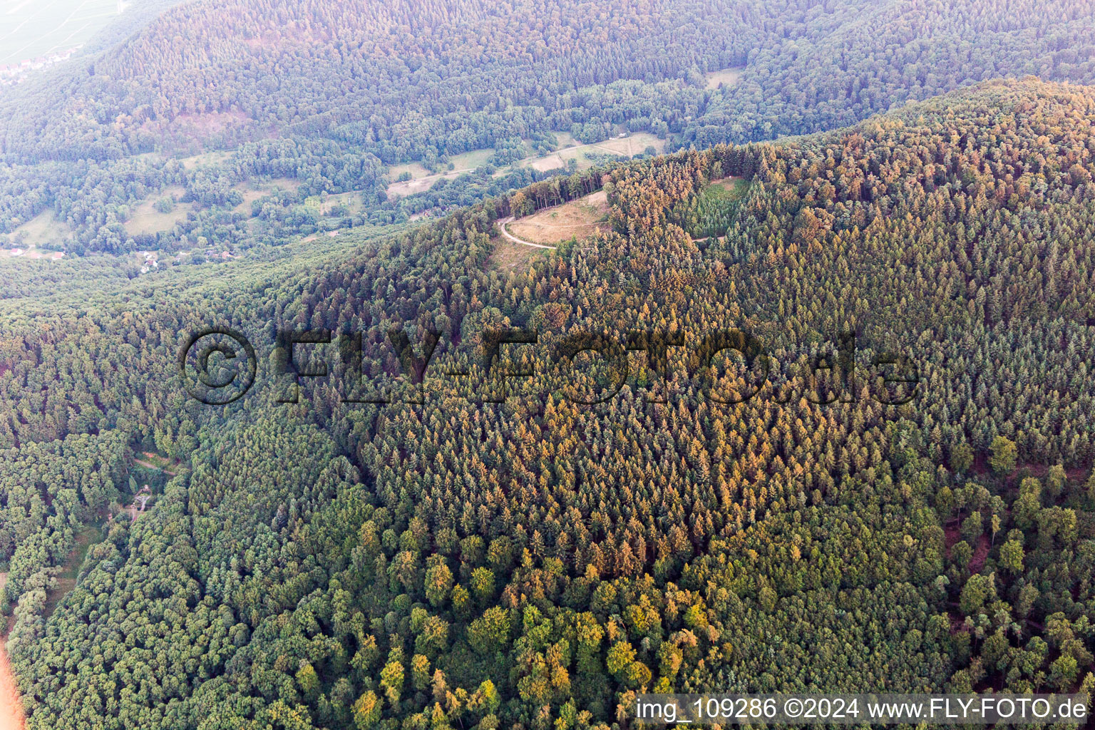 Vue aérienne de Site de décollage des parapentes de Förlenberg à Ranschbach dans le département Rhénanie-Palatinat, Allemagne