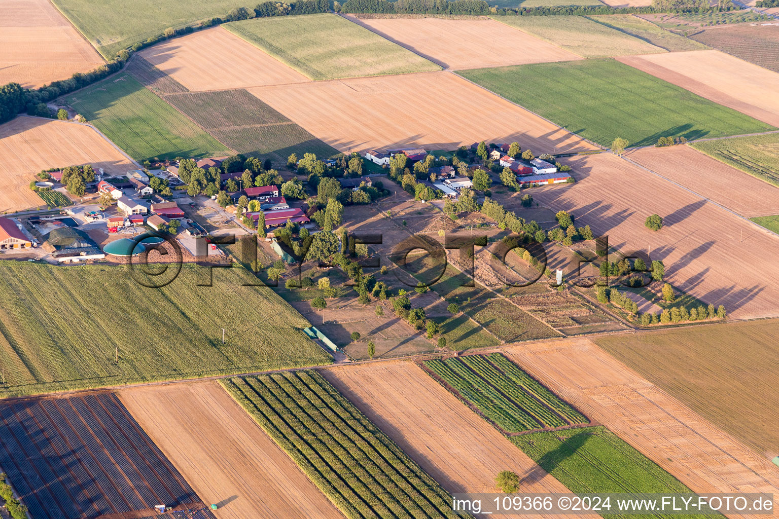 Vue aérienne de Edingerhof dans le département Bade-Wurtemberg, Allemagne