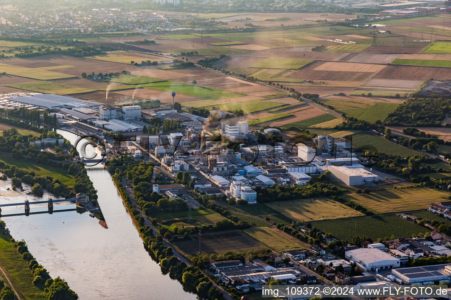 Vue aérienne de Sites de l'usine du producteur chimique ICL Allemagne Ladenburg / BK Giulini GmbH sur le Neckar à Ladenburg dans le département Bade-Wurtemberg, Allemagne