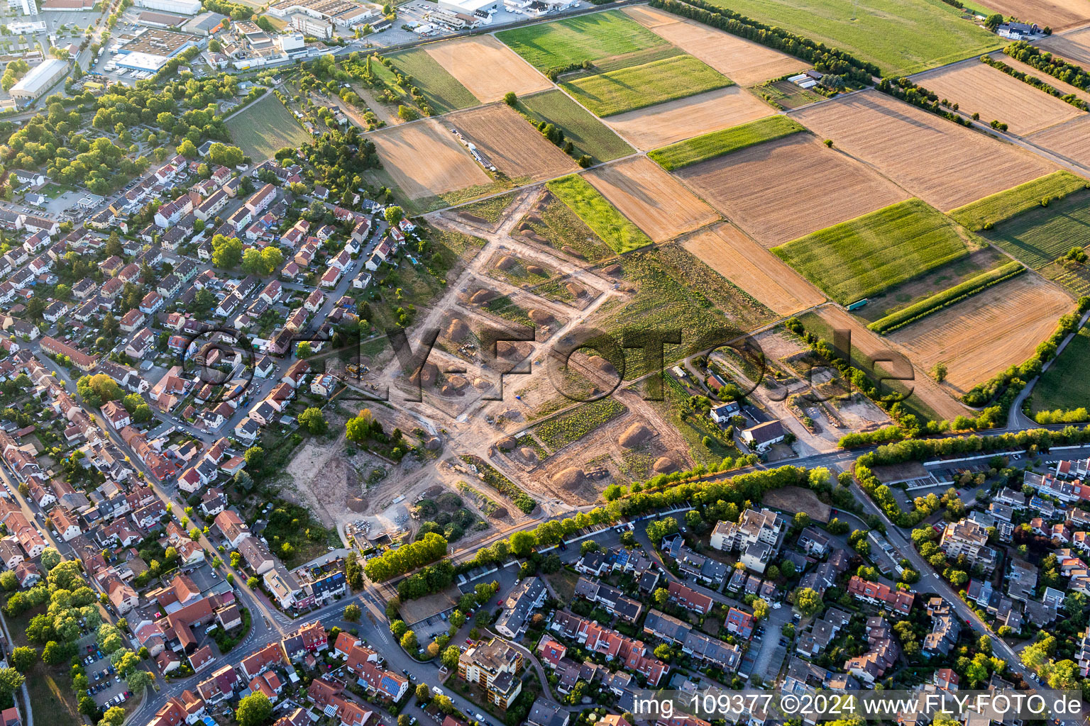 Vue aérienne de Ladenburg dans le département Bade-Wurtemberg, Allemagne