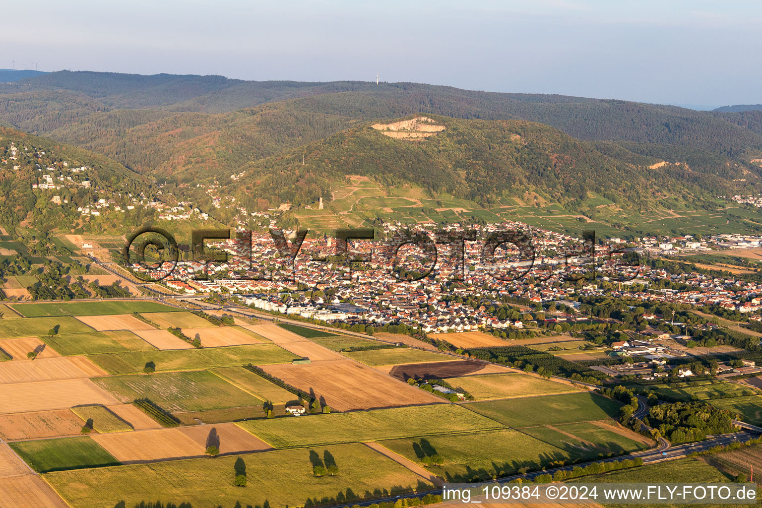 Image drone de Schriesheim dans le département Bade-Wurtemberg, Allemagne