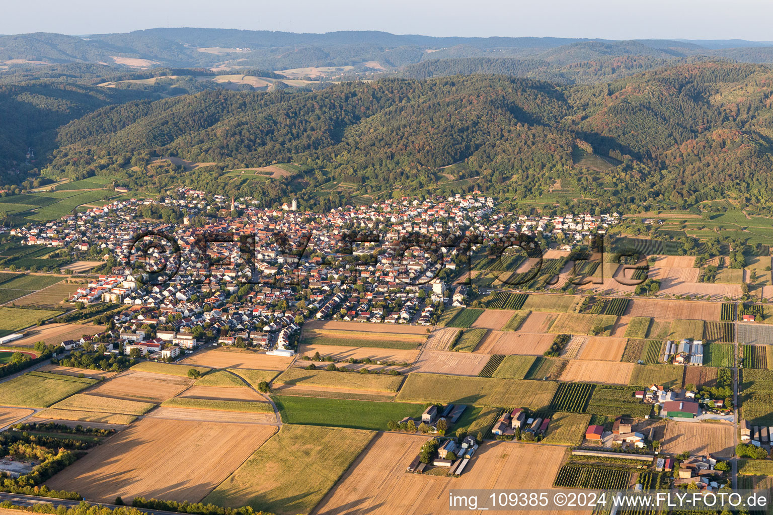 Schriesheim dans le département Bade-Wurtemberg, Allemagne du point de vue du drone