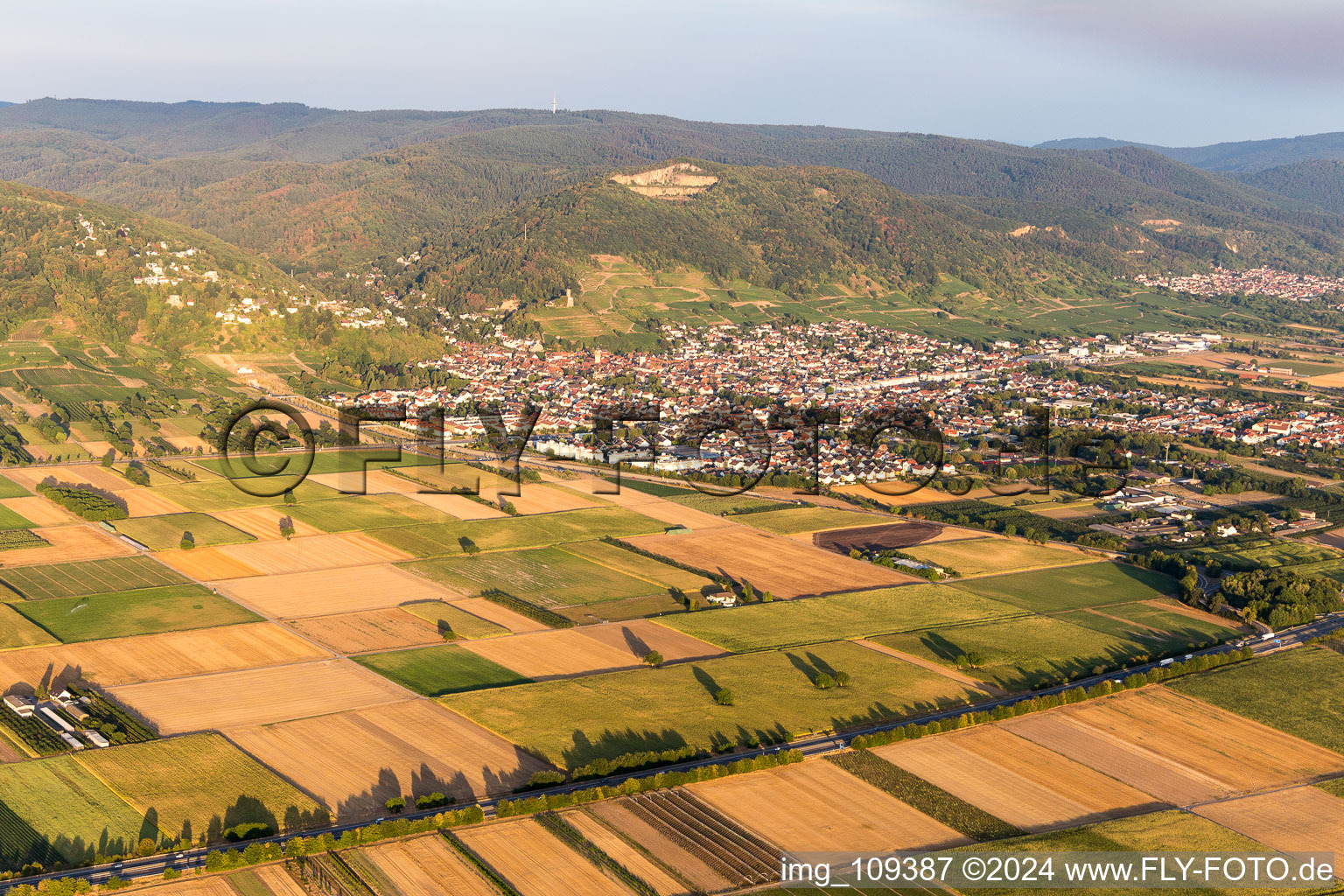 Schriesheim dans le département Bade-Wurtemberg, Allemagne d'un drone