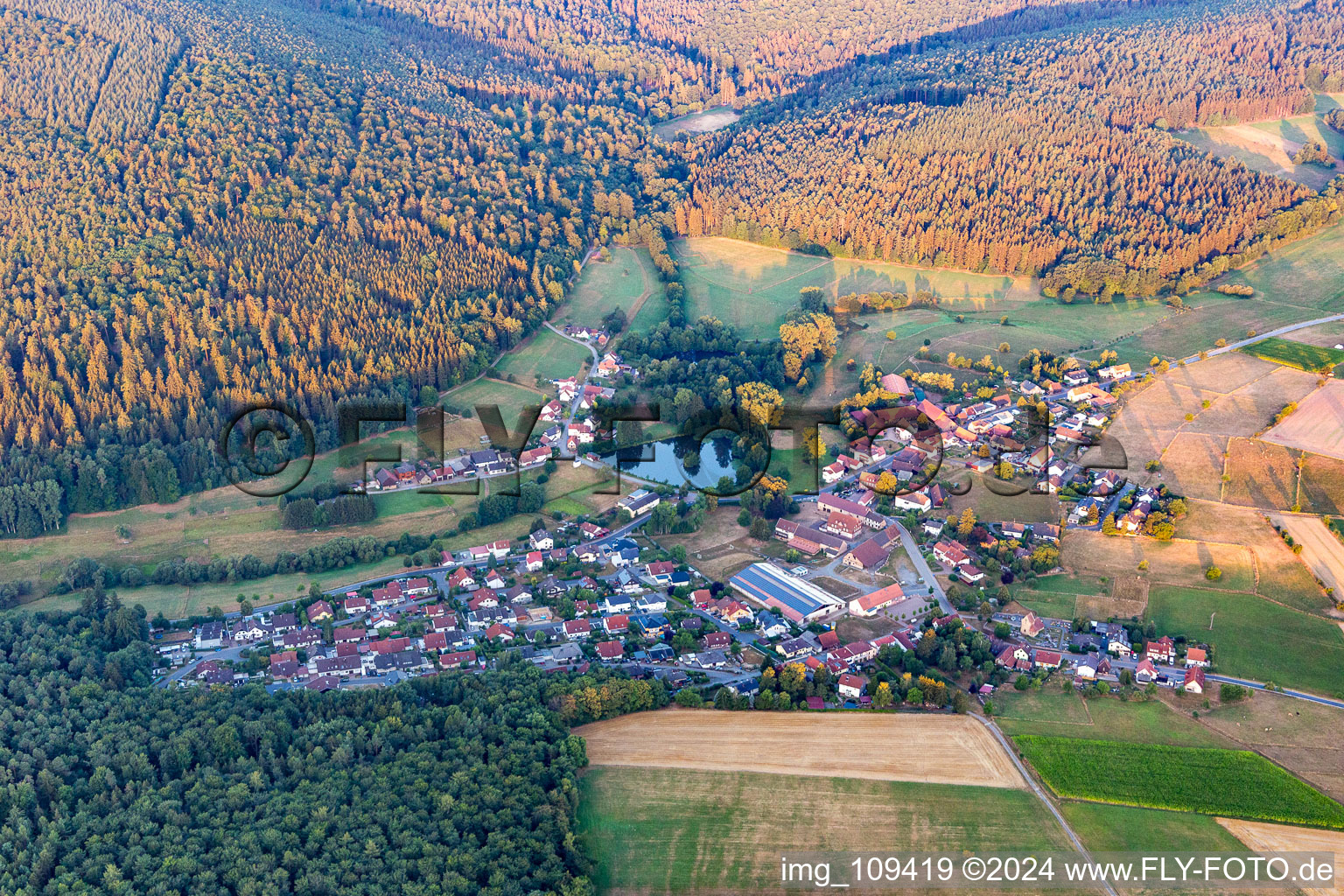 Vue aérienne de Quartier Rehbach in Michelstadt dans le département Hesse, Allemagne