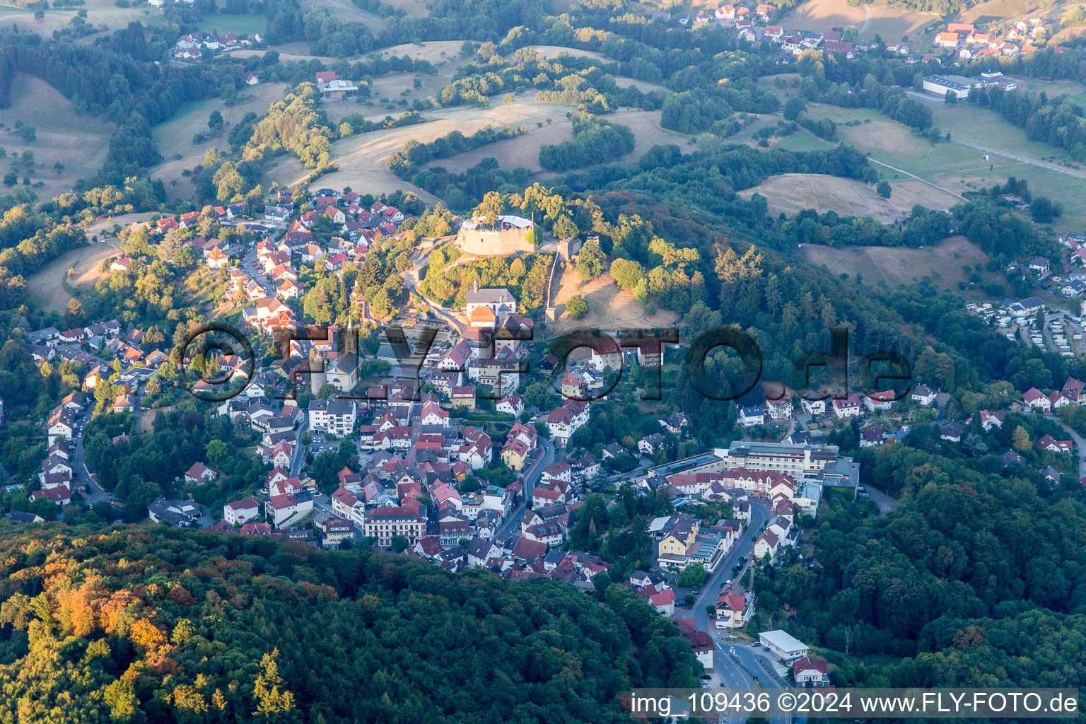 Vue aérienne de Complexe du château du Schloss Café Reichenberg (Odenwald) à Reichelsheim dans le département Hesse, Allemagne